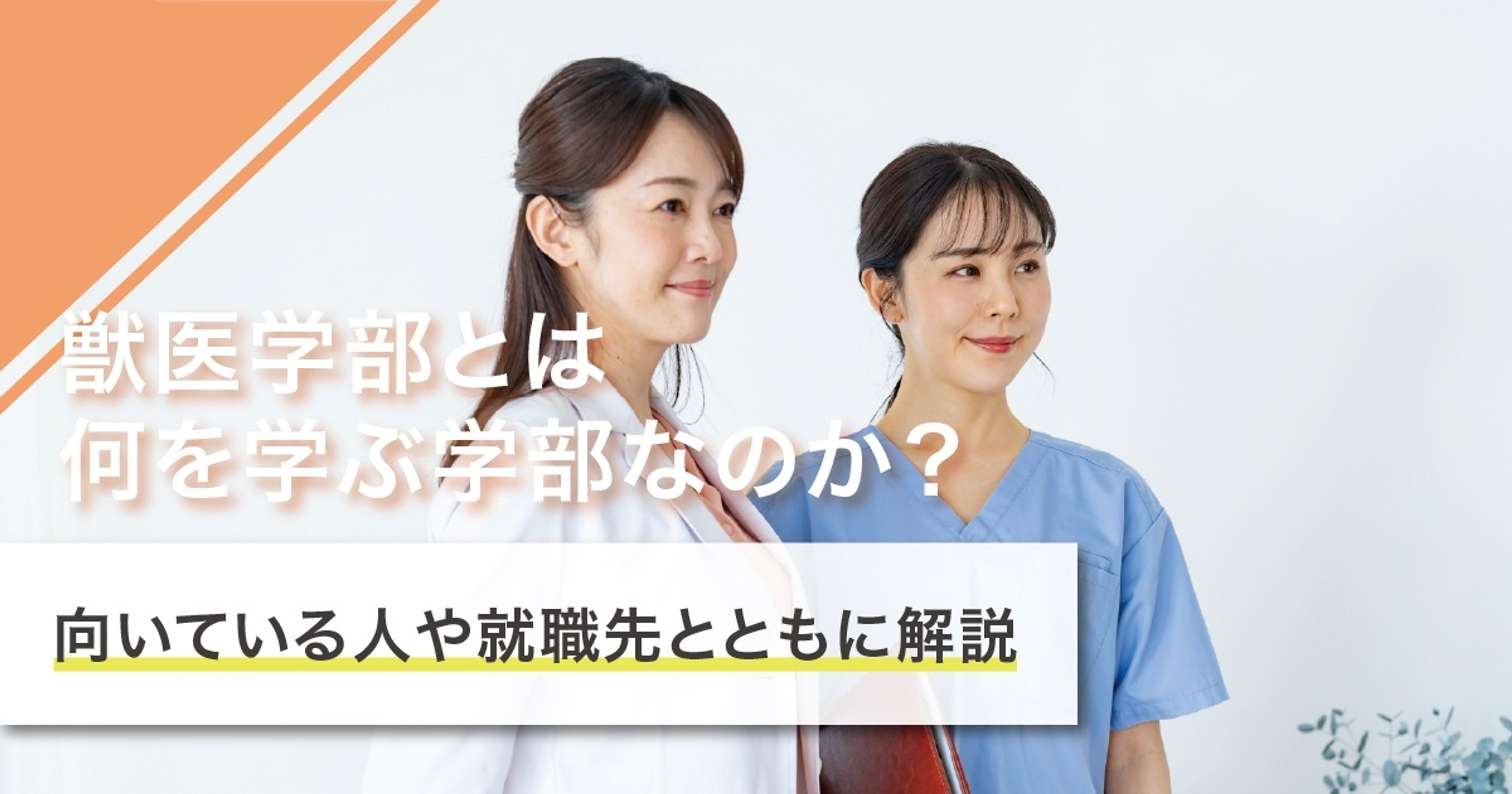 獣医学部では何を学ぶ？学ぶことや卒業後の進路を徹底解説