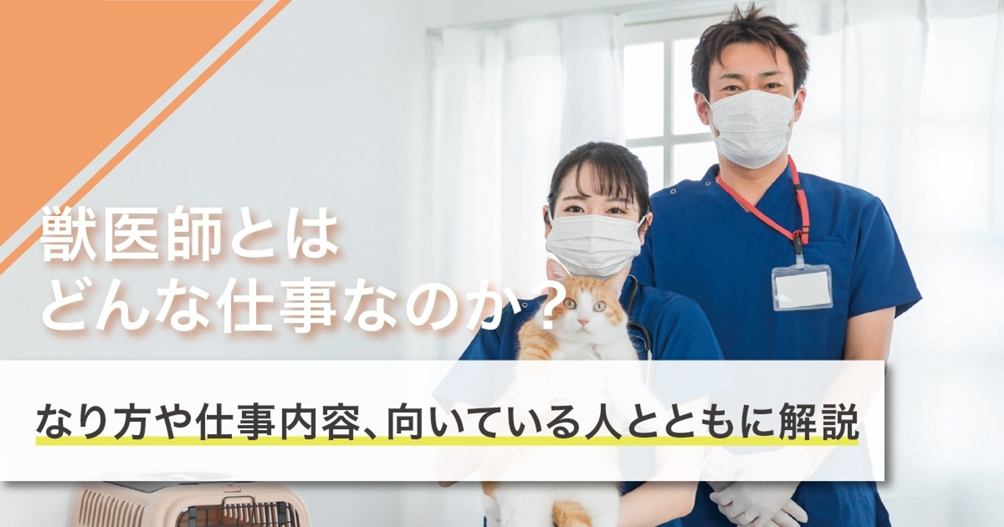 獣医師になるには？必要な資格や対策を解説