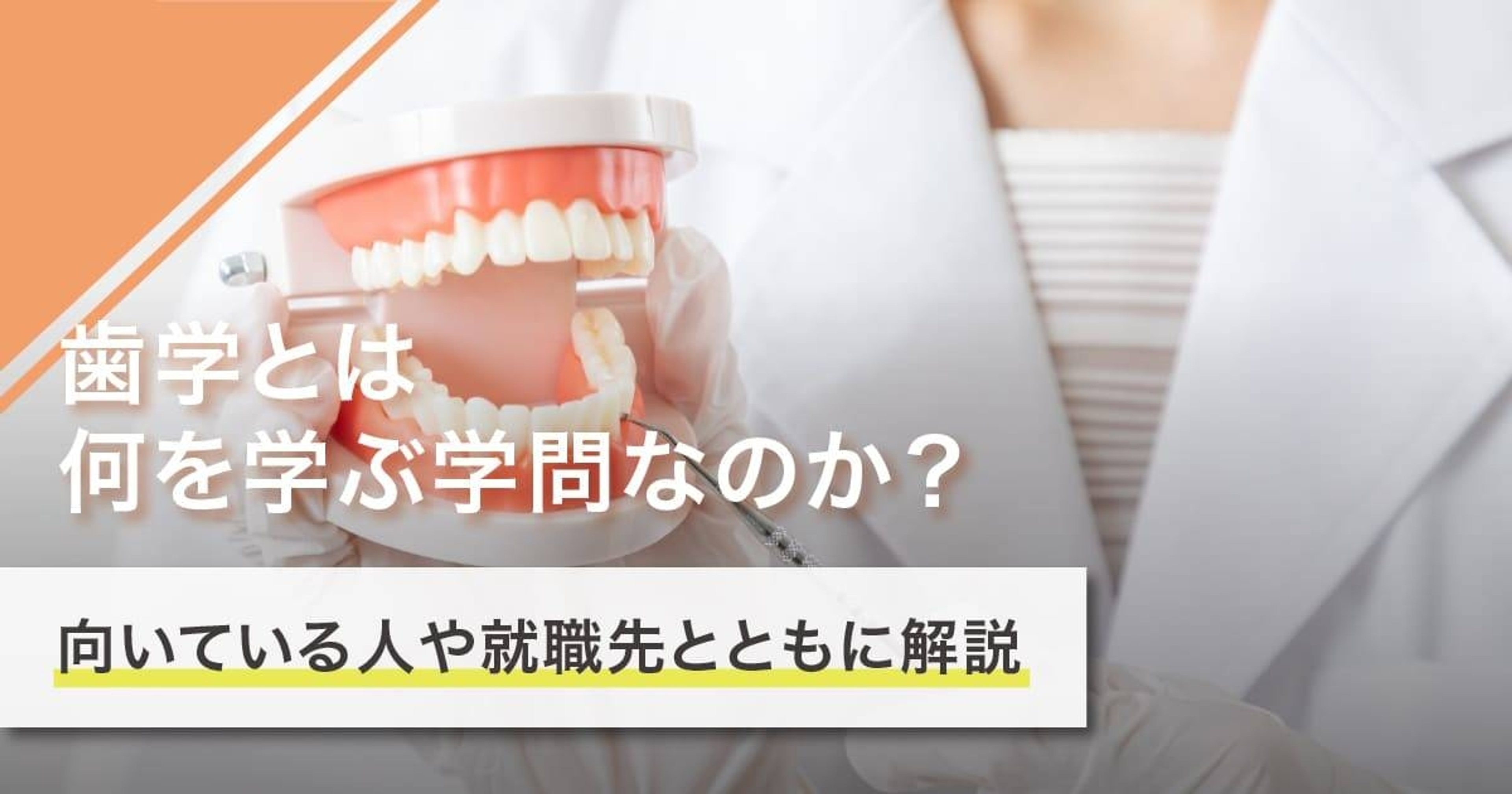 歯学とは何を学ぶ学問?学ぶことや就職先を徹底解説 歯学とは何を学ぶ学問?学ぶことや就職先を徹底解説