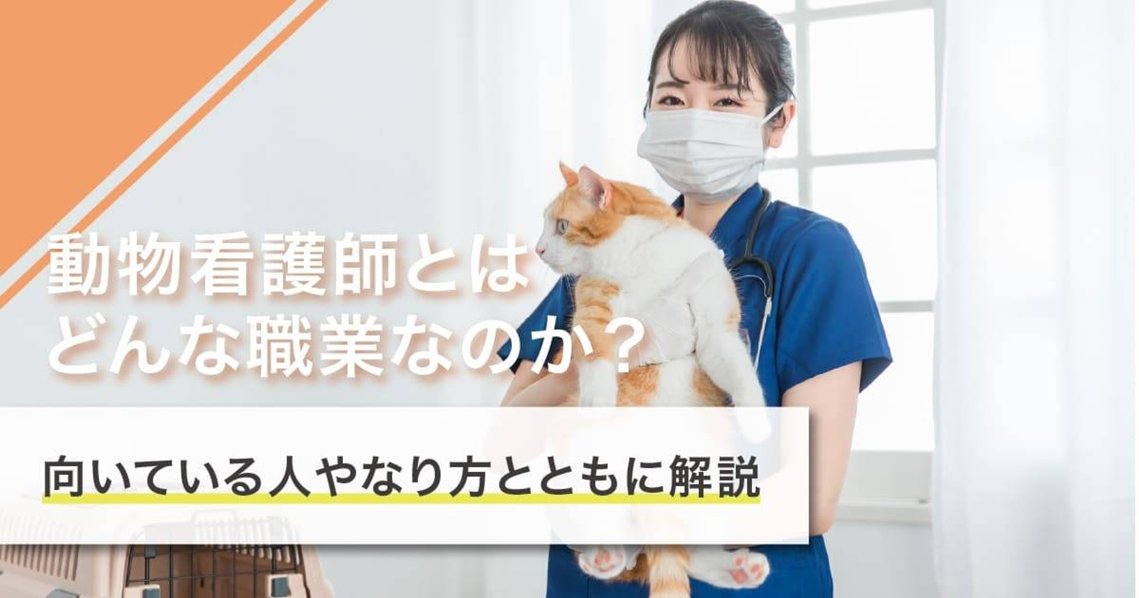 動物看護師になるには？なり方・必要な資格・仕事内容を解説