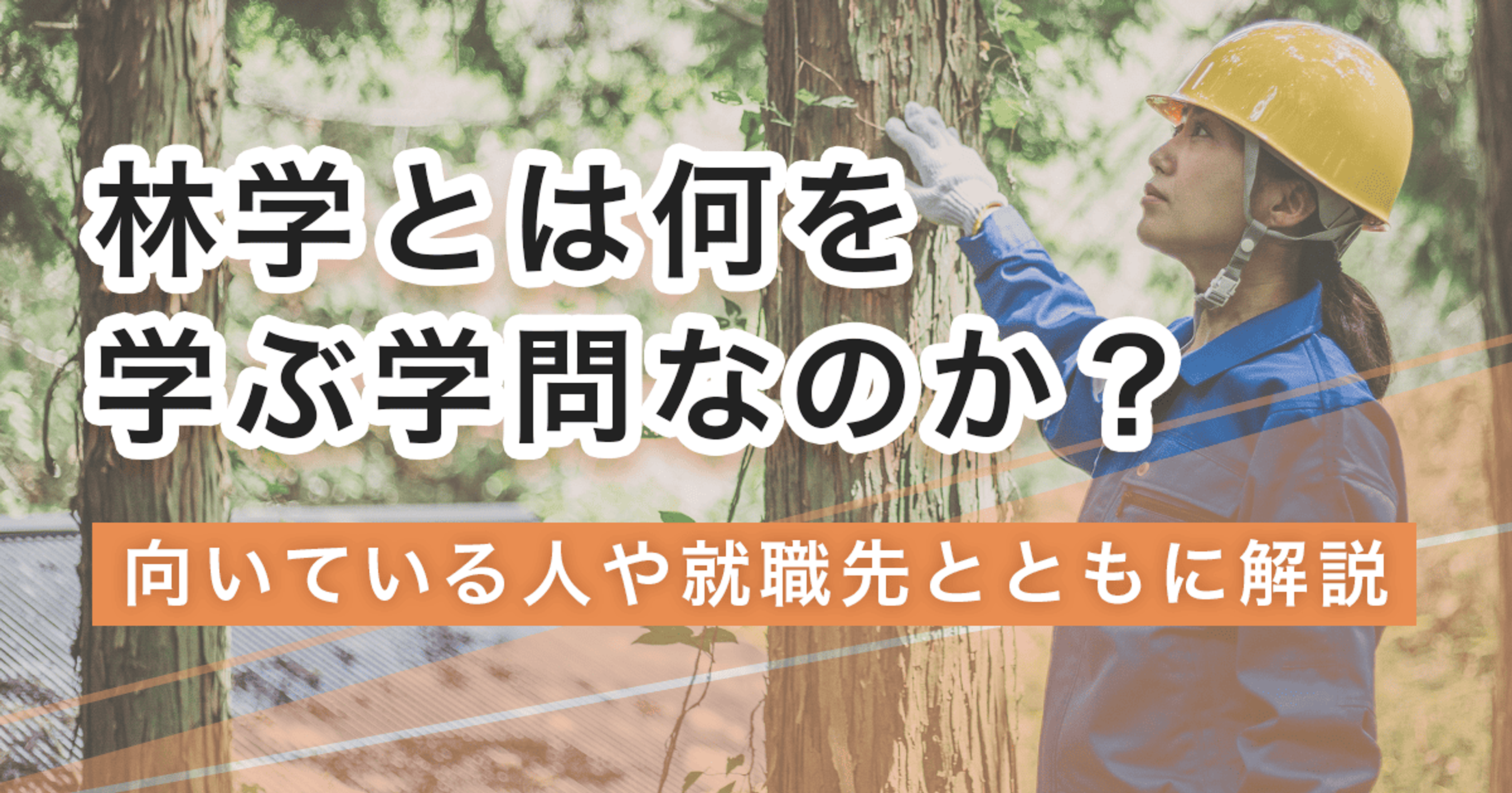 林学とは何を学ぶ学問？学べる進学先や、活かせる就職先を紹介