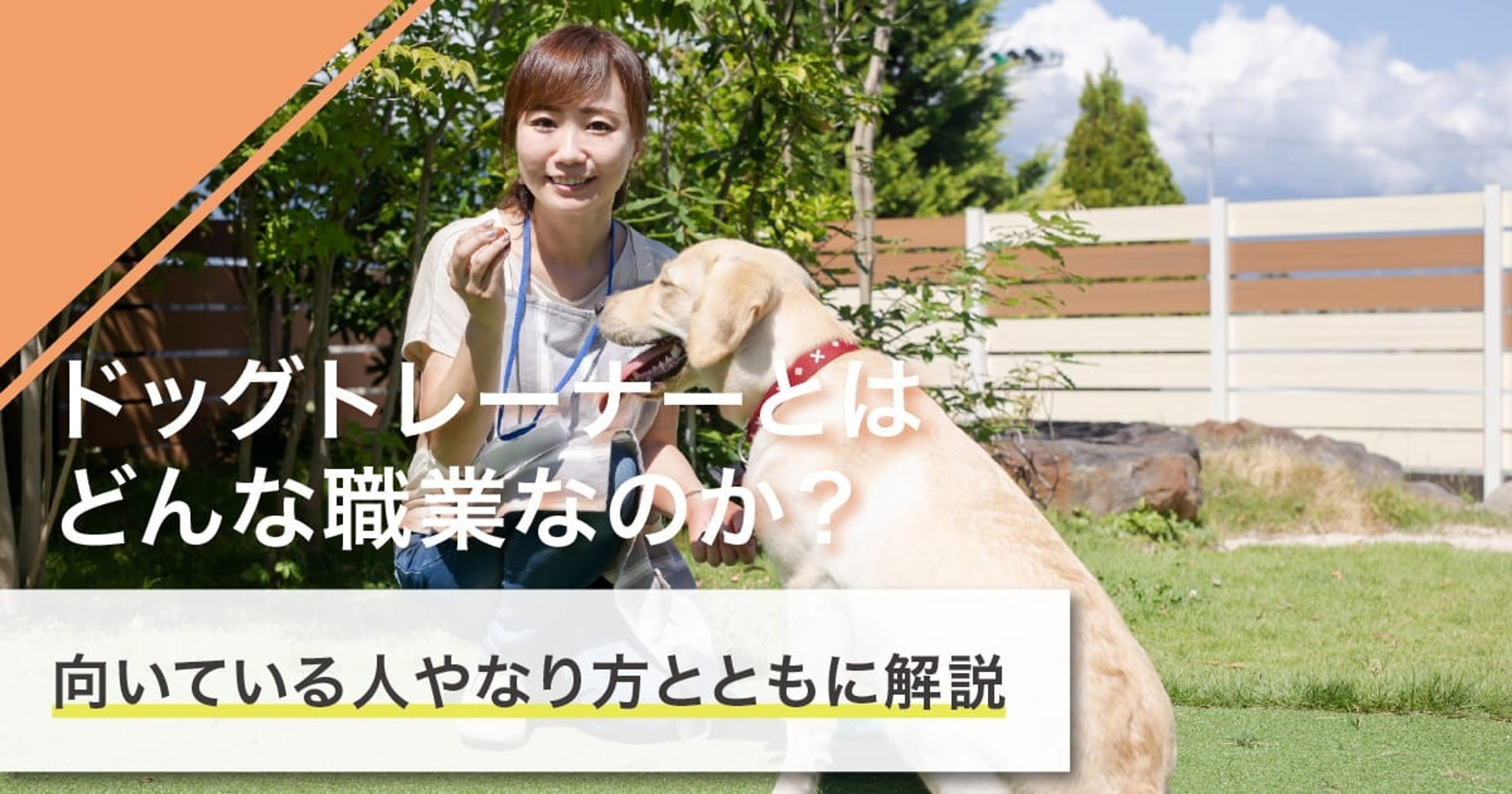 ドッグトレーナーになるには？なり方・必要な資格・仕事内容を解説