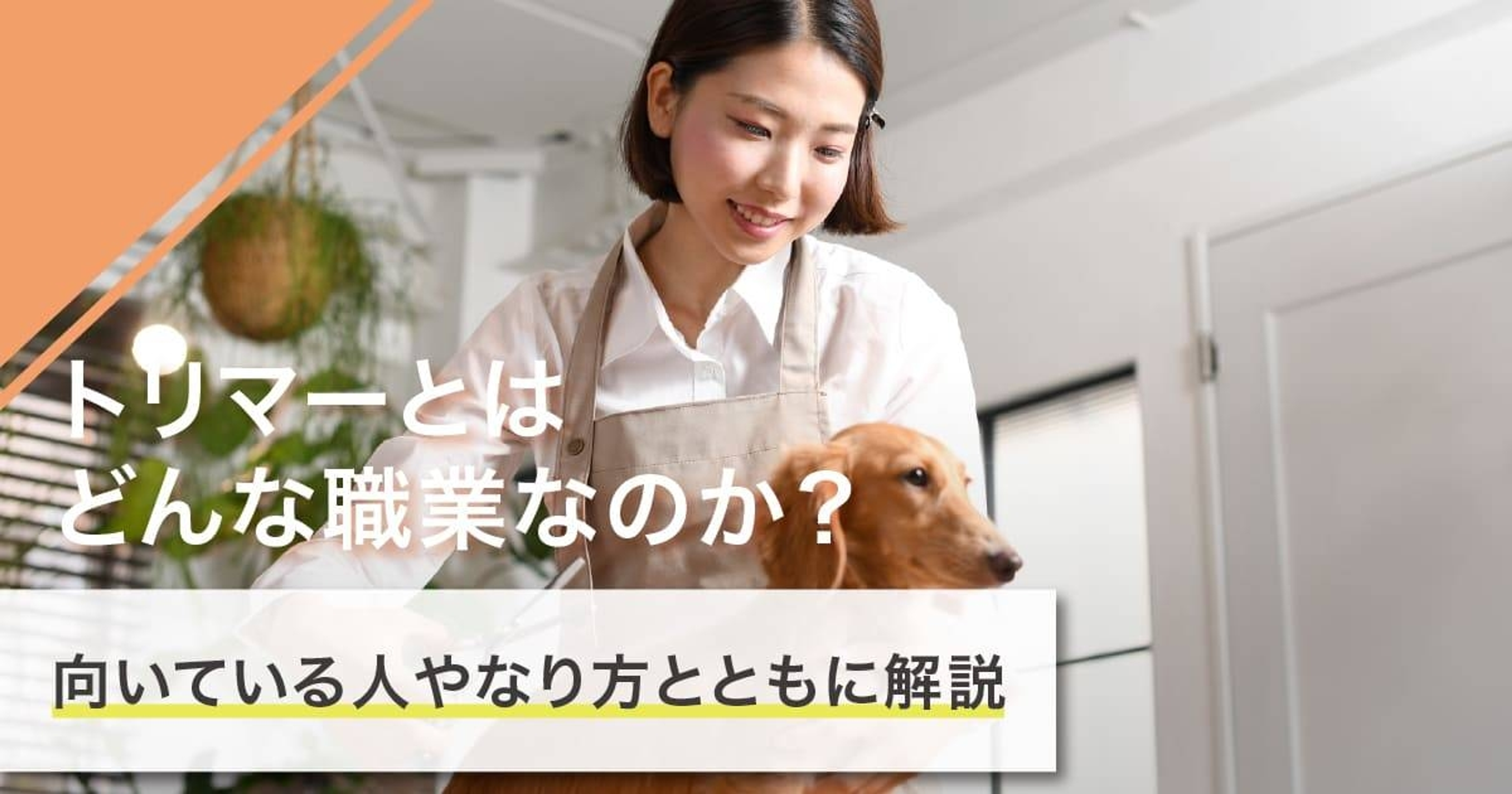 トリマーになるには？なり方・必要な資格・仕事内容を解説