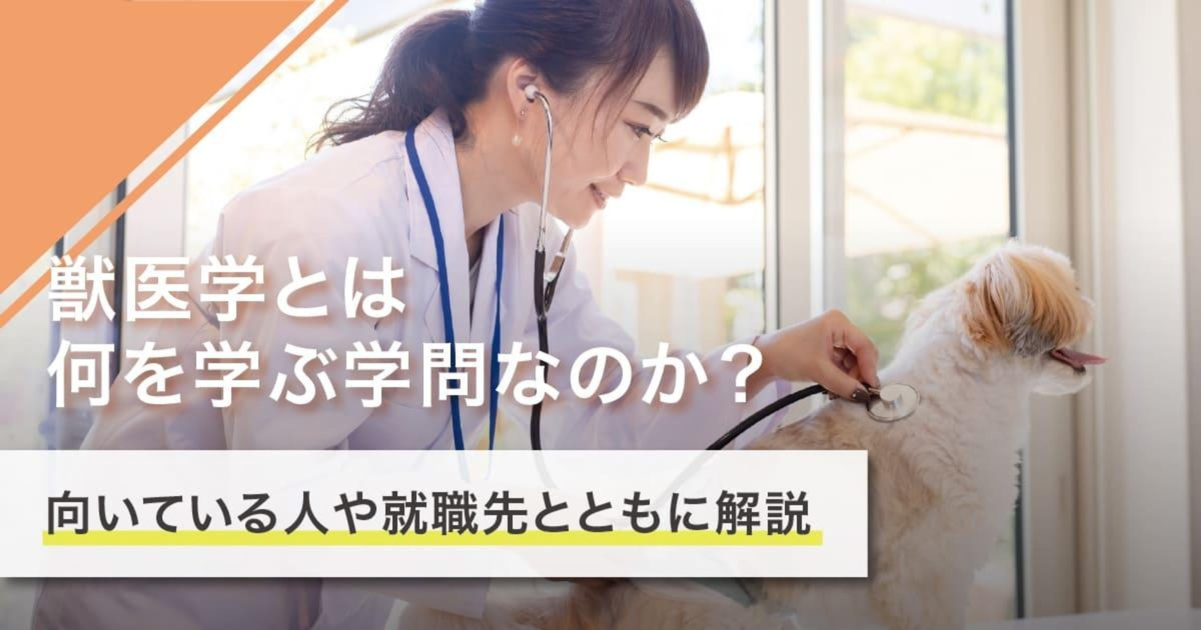 獣医学とは何を学ぶ学問？学ぶことや就職先を徹底解説