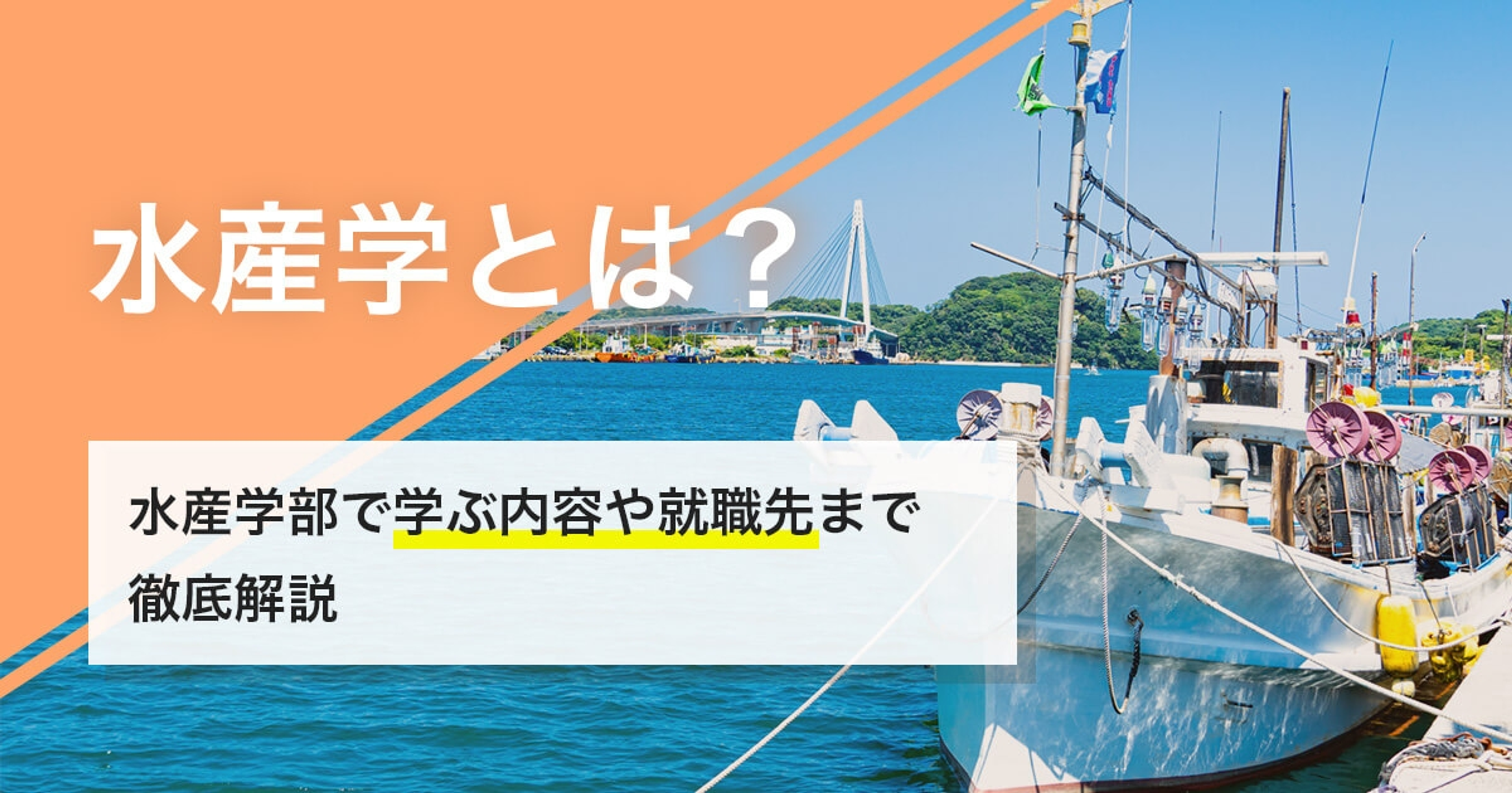 水産学とはどんな学問?水産学部で何を学ぶのかや就職先まで徹底解説 水産学とはどんな学問?水産学部で何を学ぶのかや就職先まで徹底解説