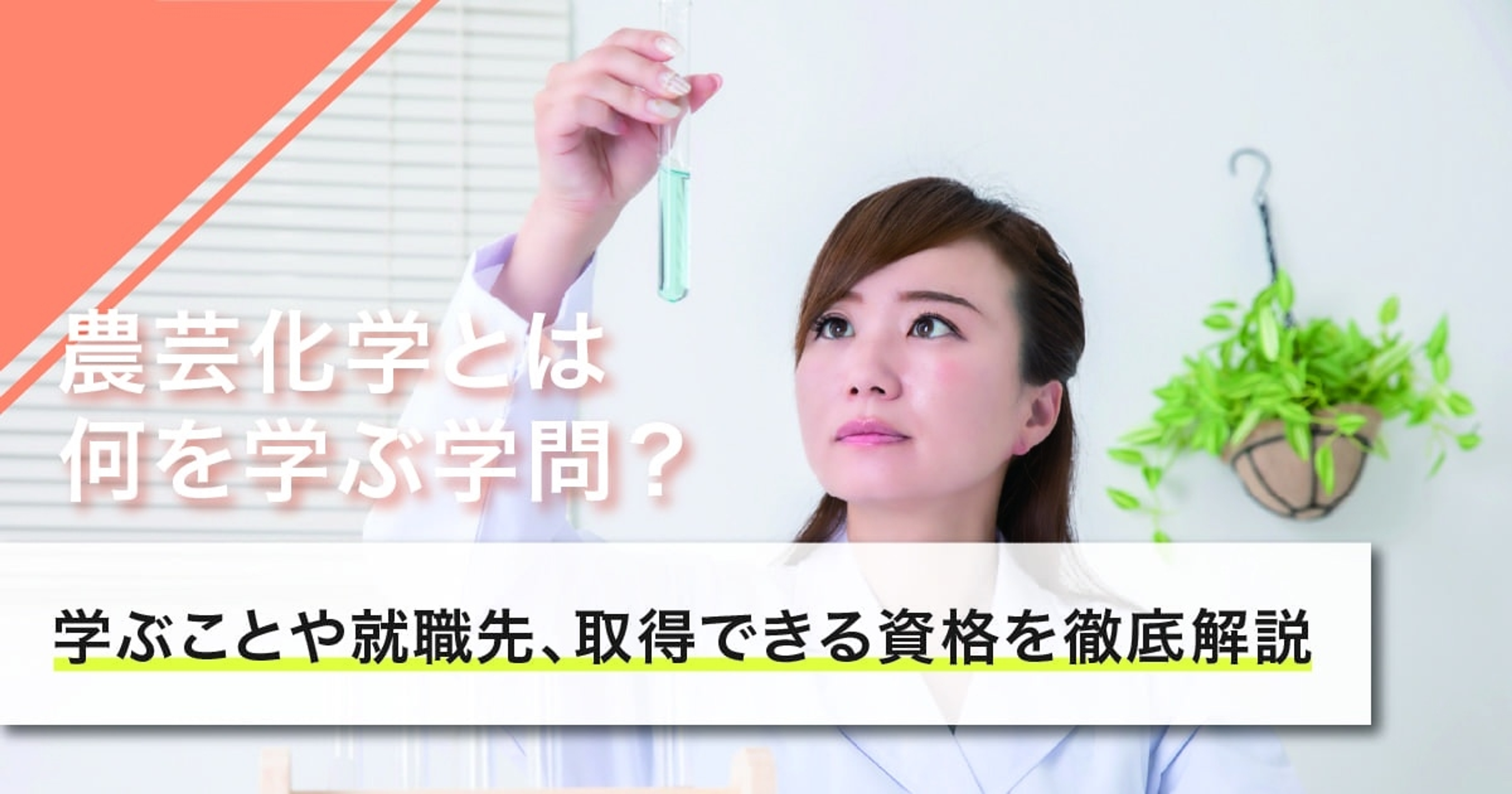 農芸化学とは何を学ぶ学問？学ぶことや就職先、取得できる資格を徹底解説