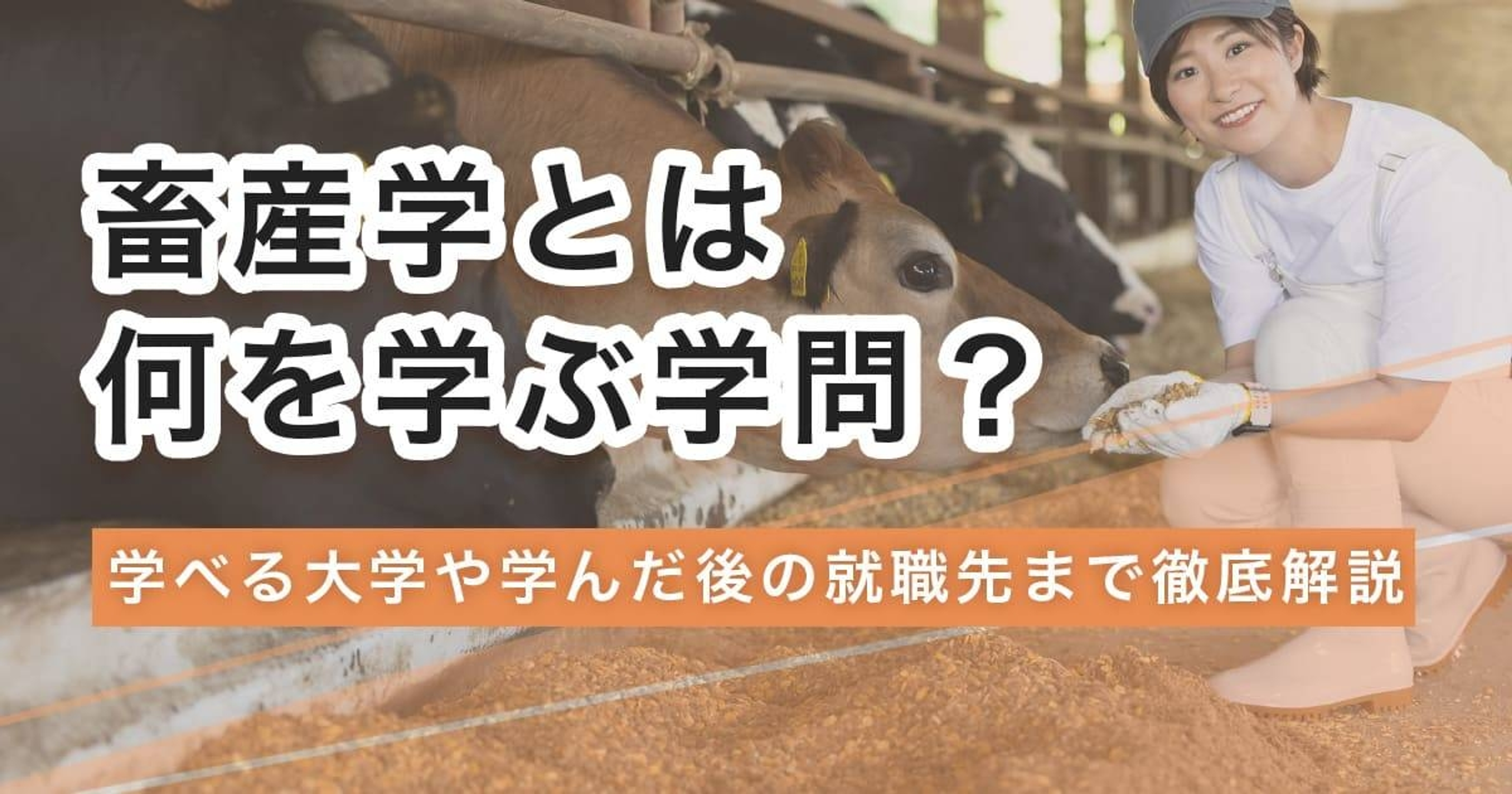 畜産学とは何を学ぶ学問？学べる大学や学んだ後の就職先まで徹底解説
