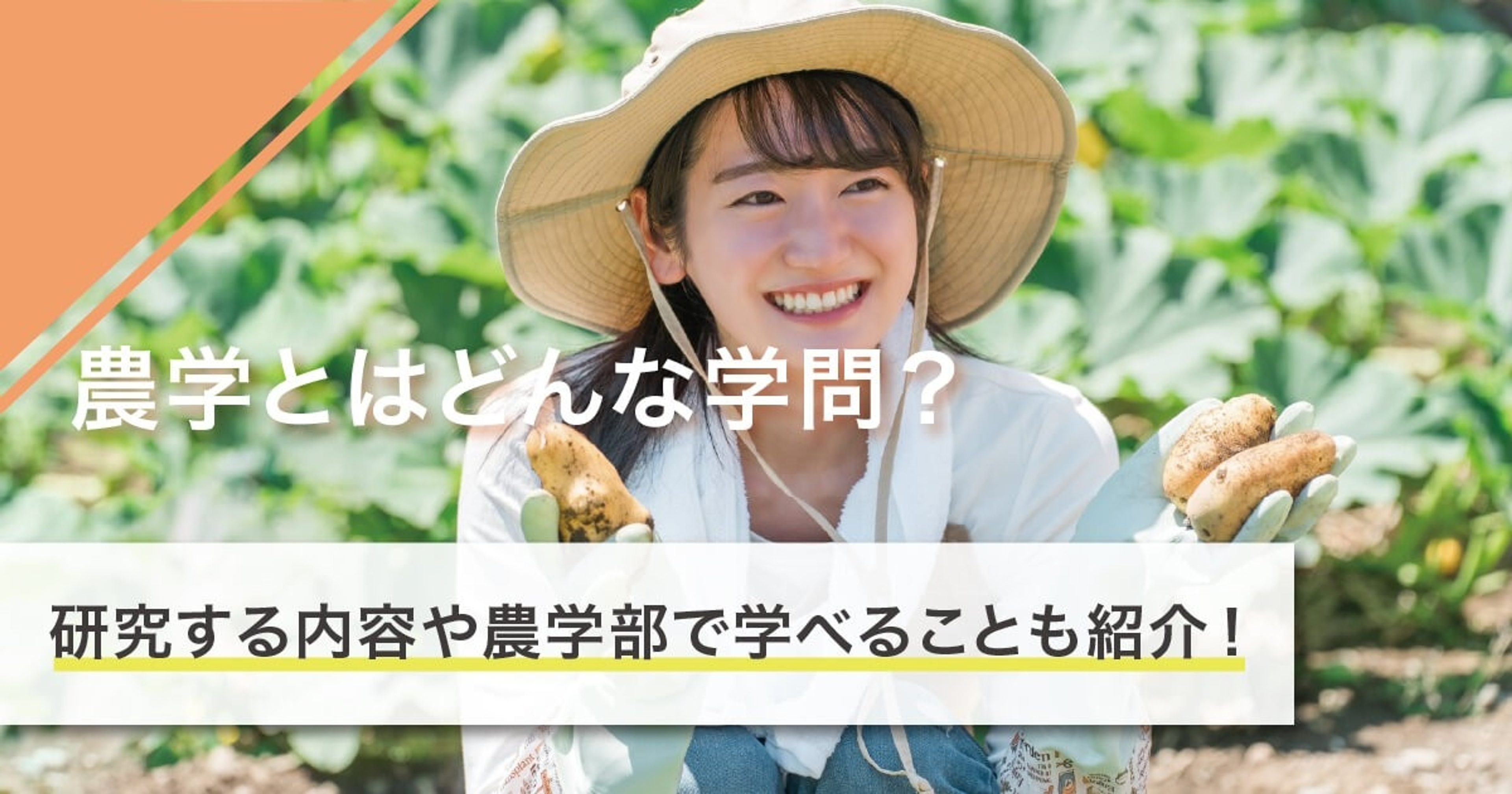 農学とはどんな学問？研究する内容や農学部で学べることも紹介！