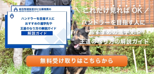 ハンドラーのなり方・必要な資格・仕事内容を解説