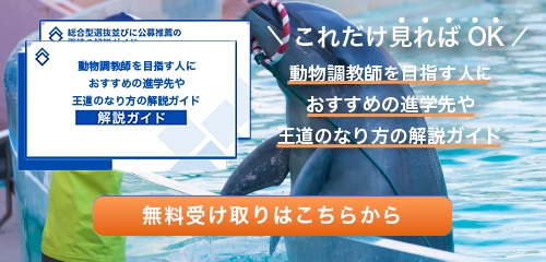 動物調教師のなり方・必要な資格・仕事内容を解説