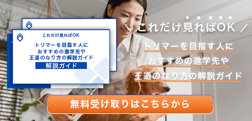 トリマーのなり方・必要な資格・仕事内容を解説