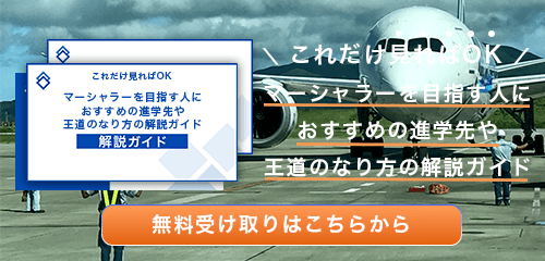 マーシャラーのなり方・必要な資格・仕事内容を解説