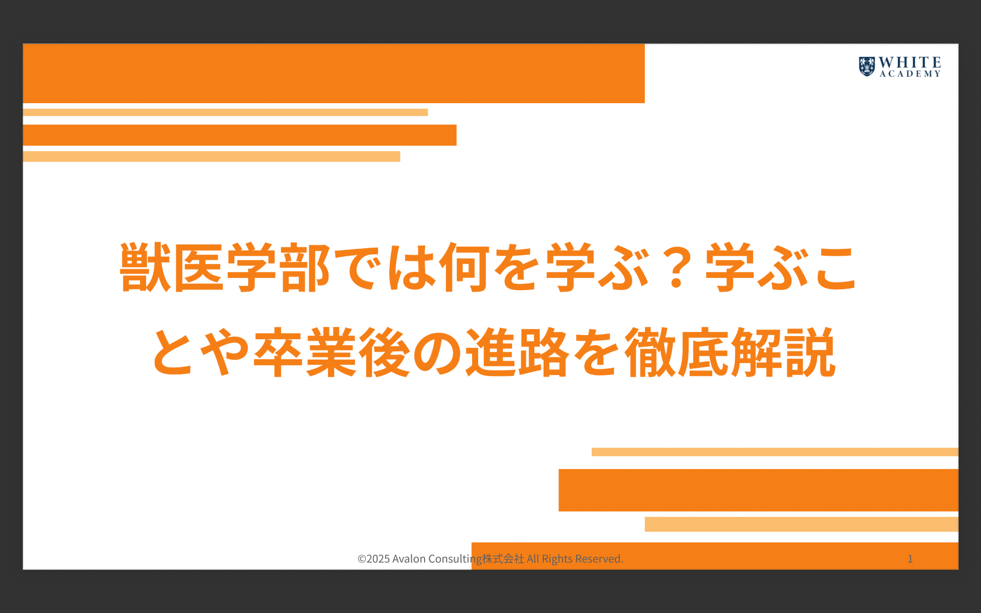 獣医学部では何を学ぶ?学ぶことや卒業後の進路を徹底解説