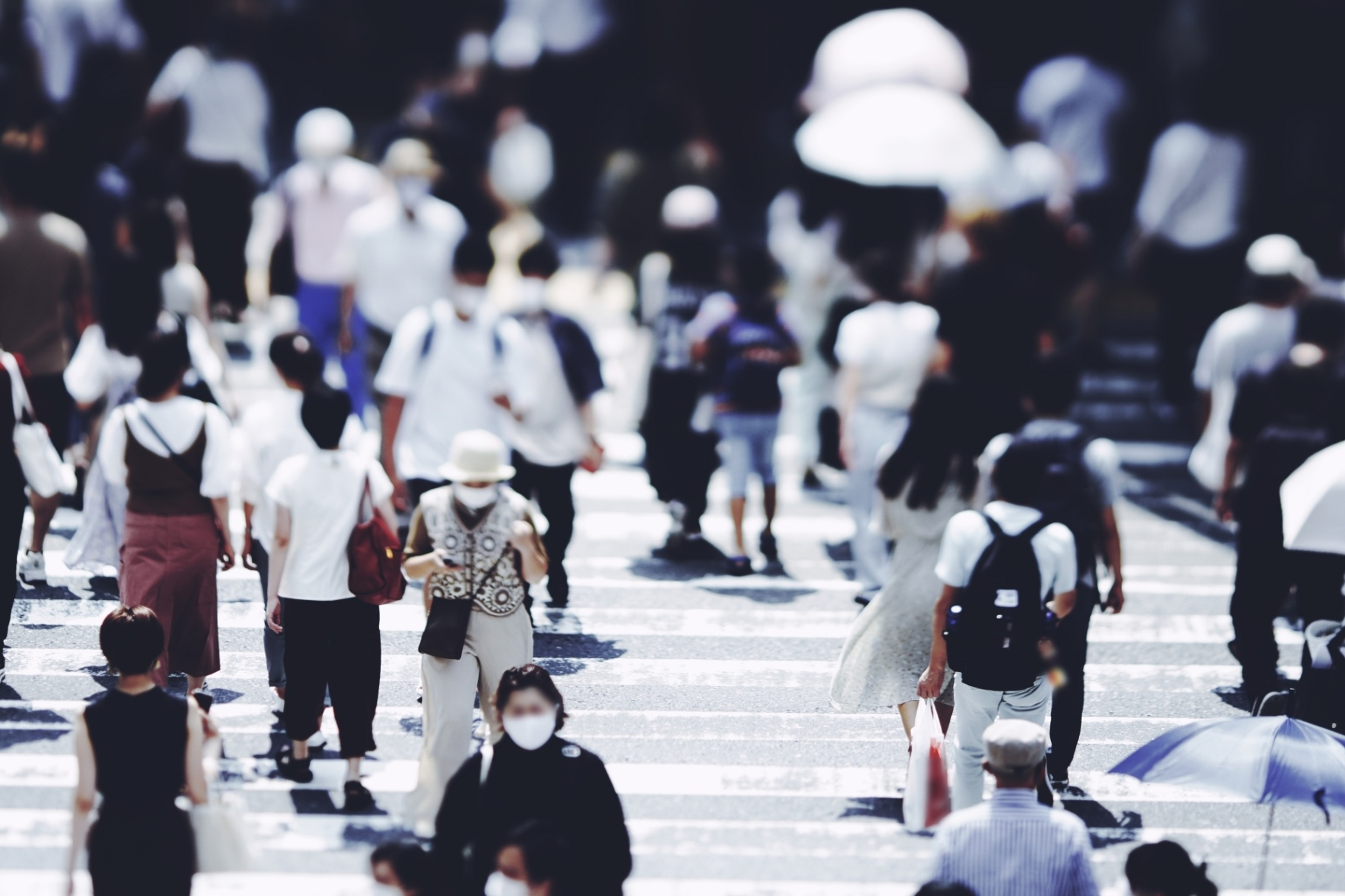 龍谷大学 龍谷大学