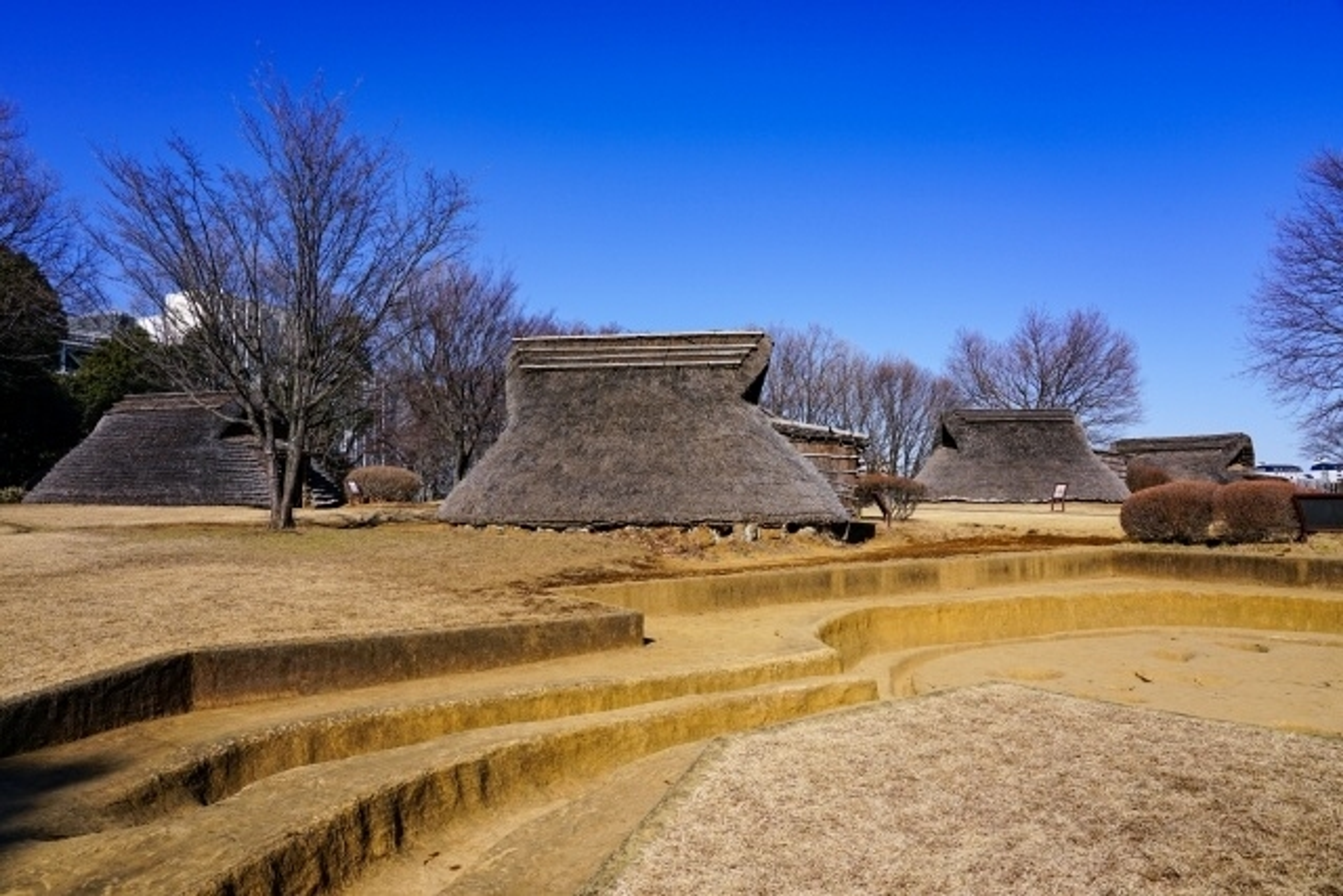 学びの特徴 学びの特徴