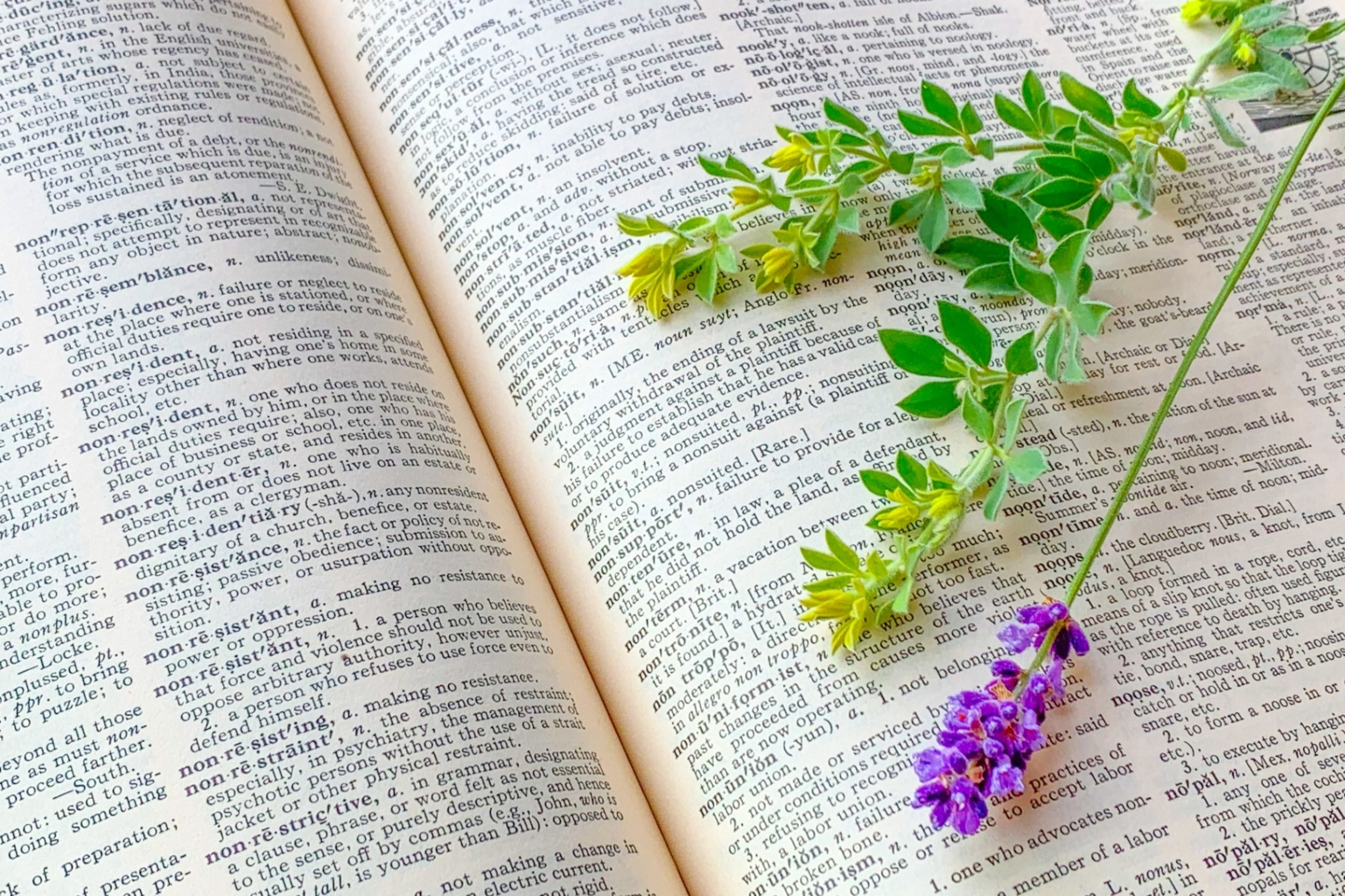 龍谷大学 龍谷大学