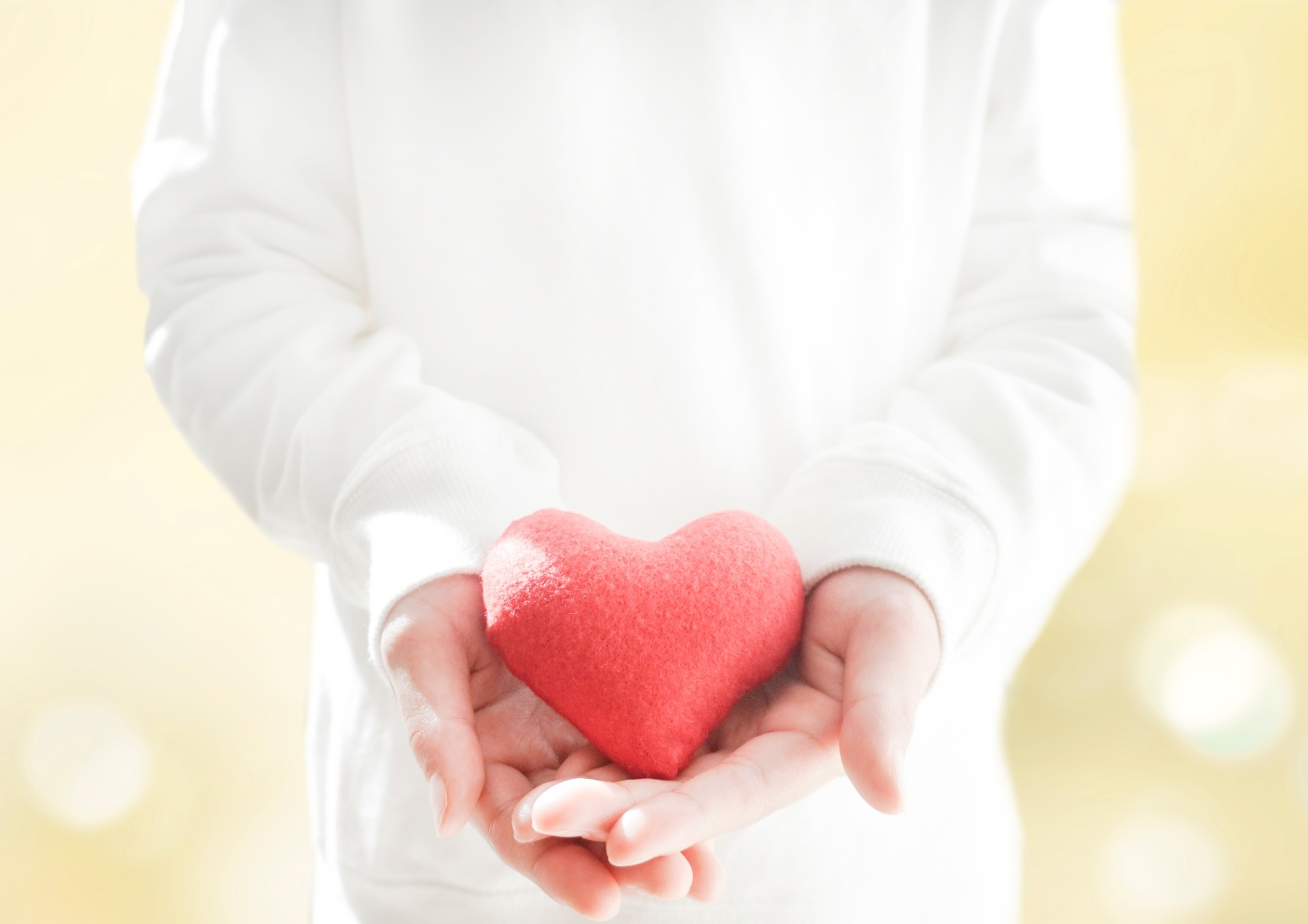 学びの特徴 学びの特徴