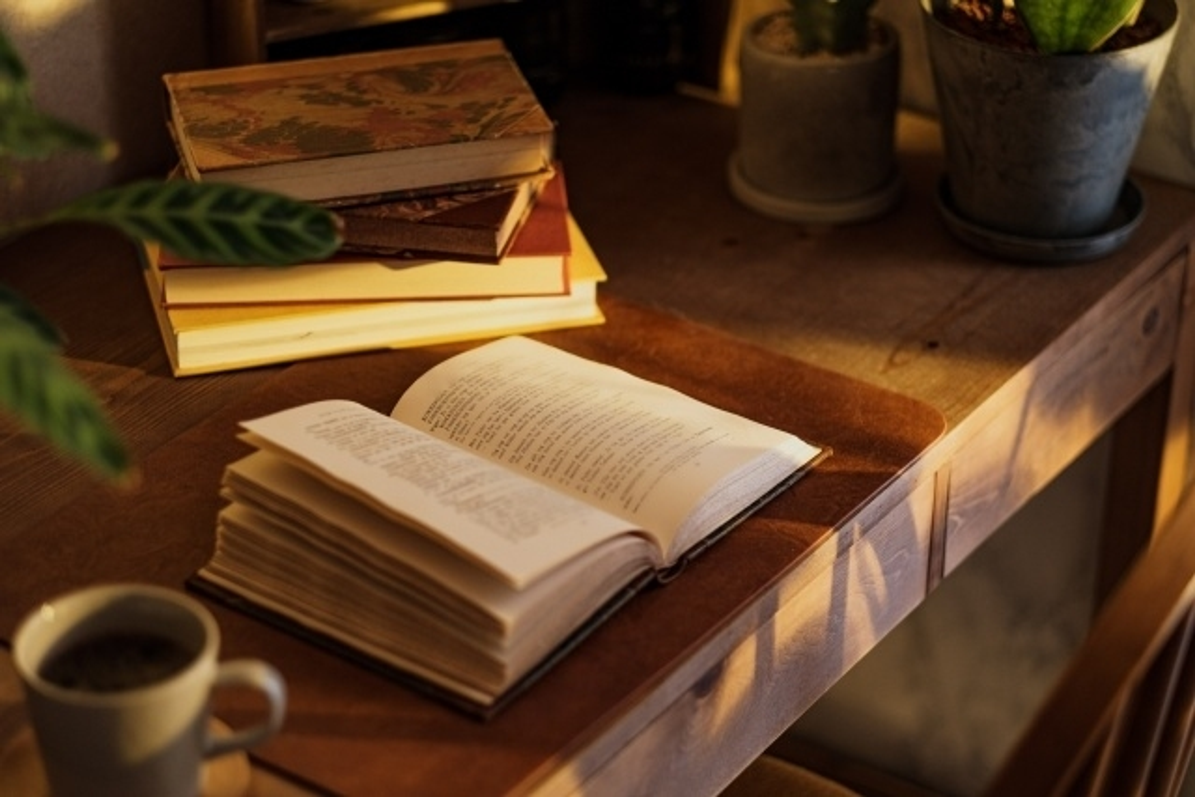 武庫川女子大学