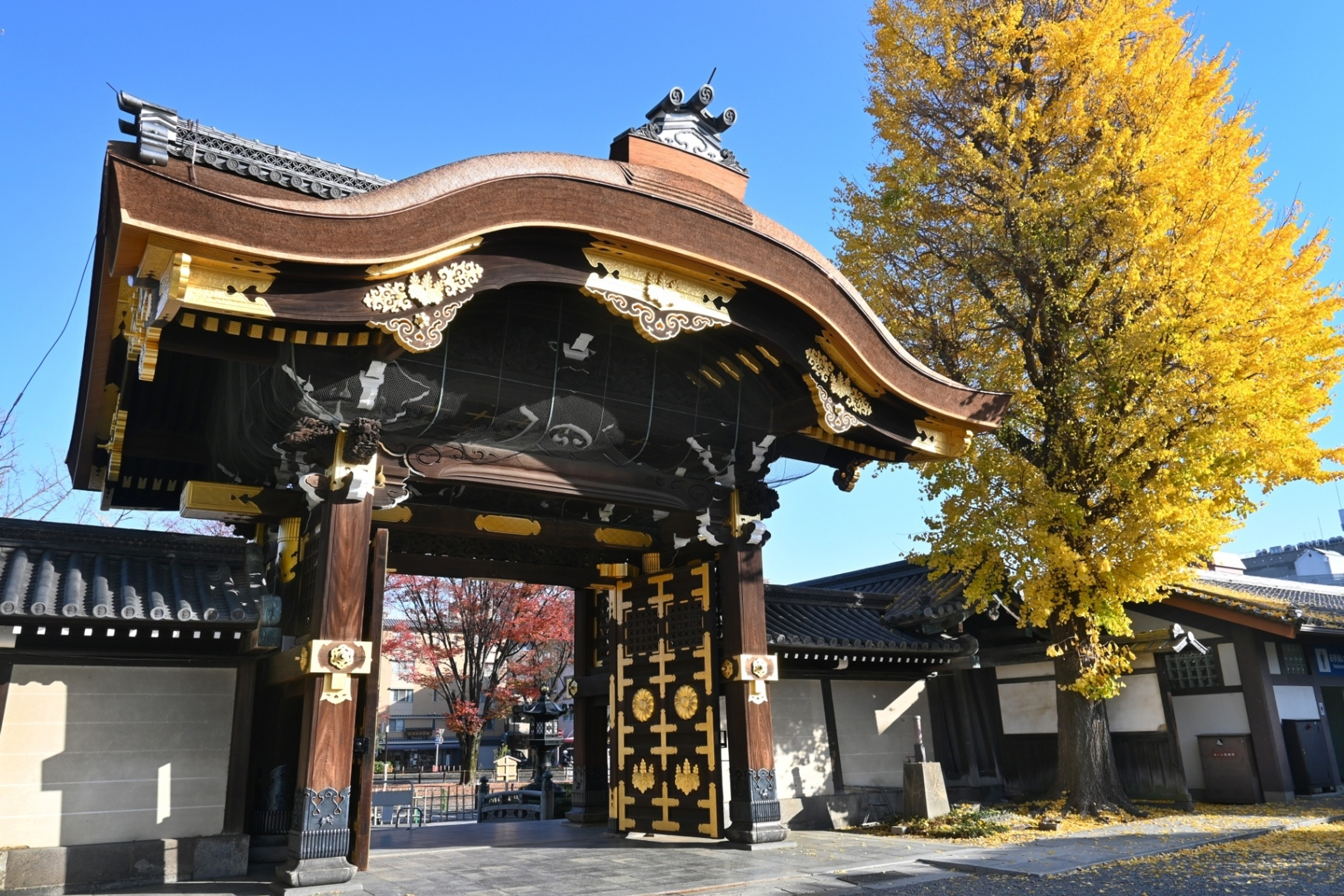 龍谷大学 龍谷大学