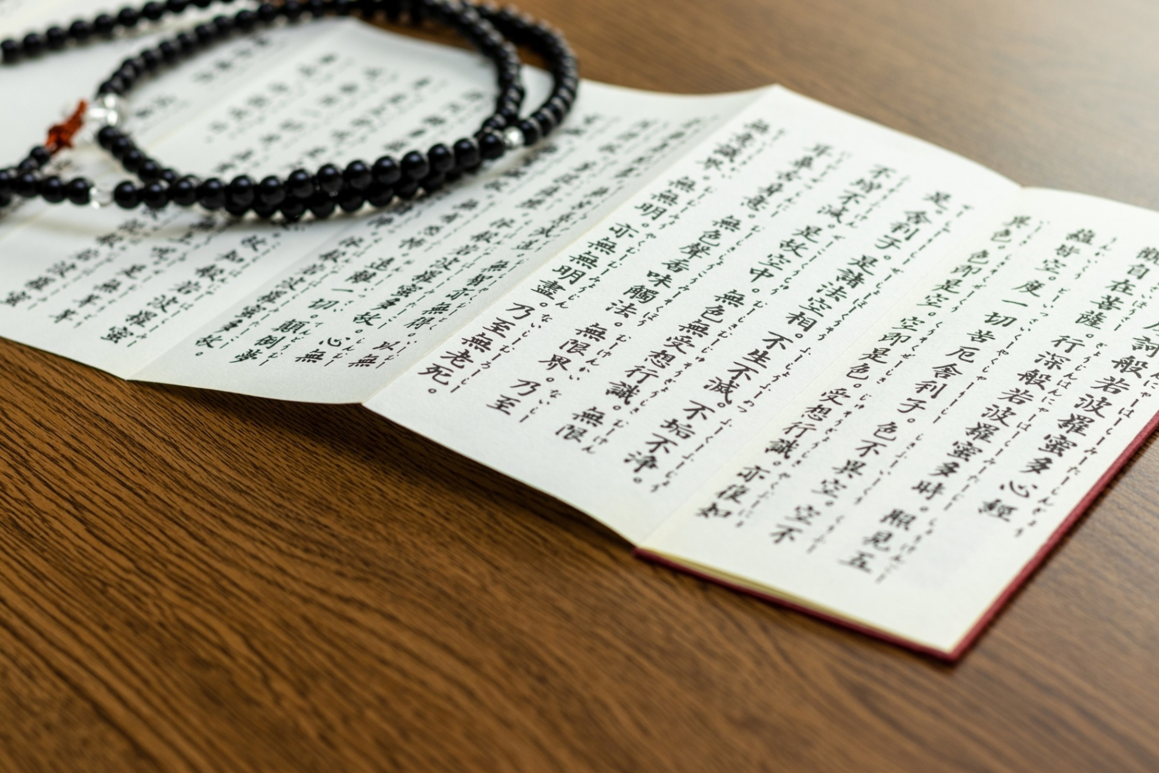 身延山大学 身延山大学