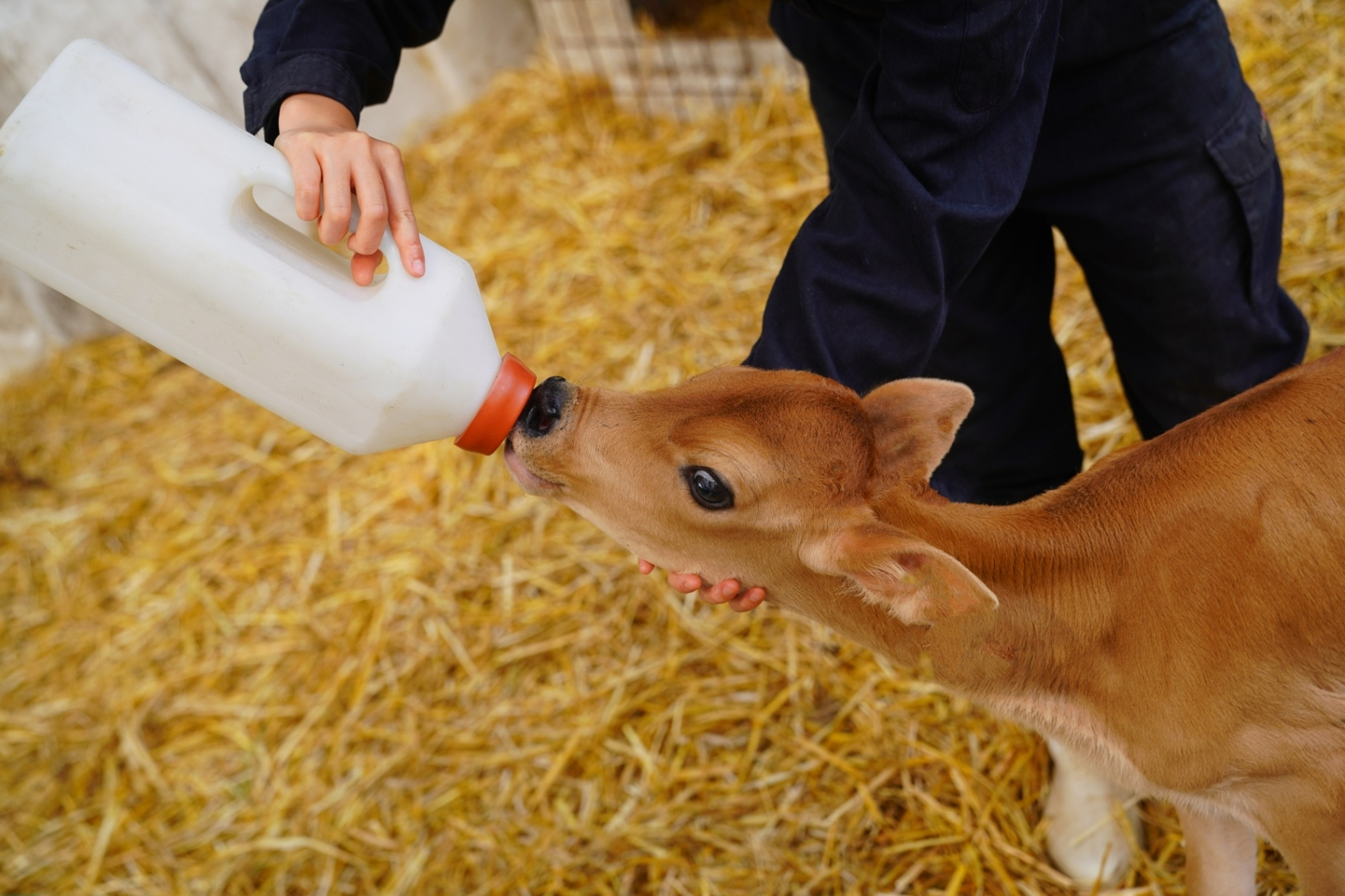 生命と食を支え、未来の畜産を創造する専門人材へ 生命と食を支え、未来の畜産を創造する専門人材へ