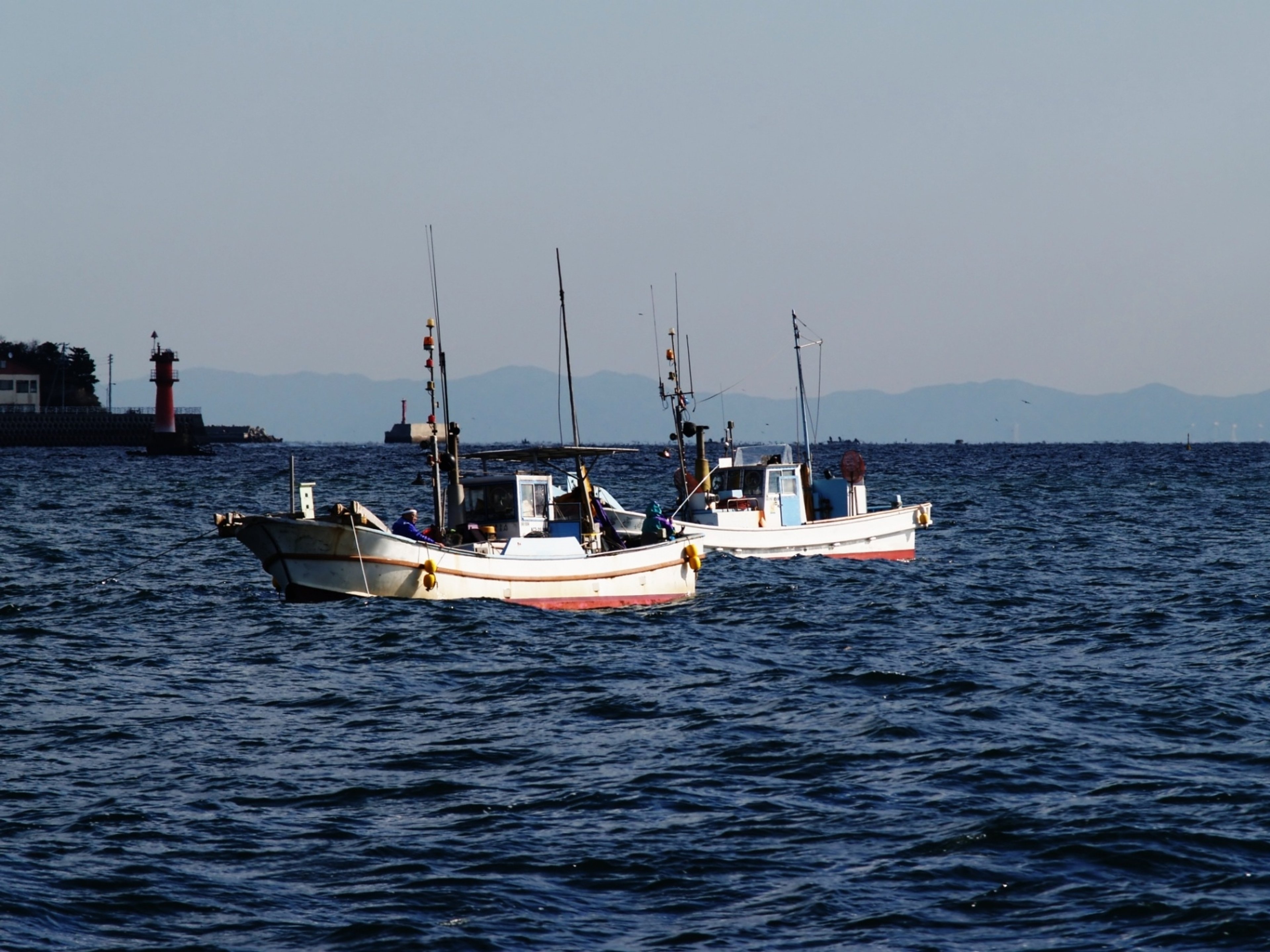 海の資源を科学し、世界の食料と環境の未来を支える 海の資源を科学し、世界の食料と環境の未来を支える