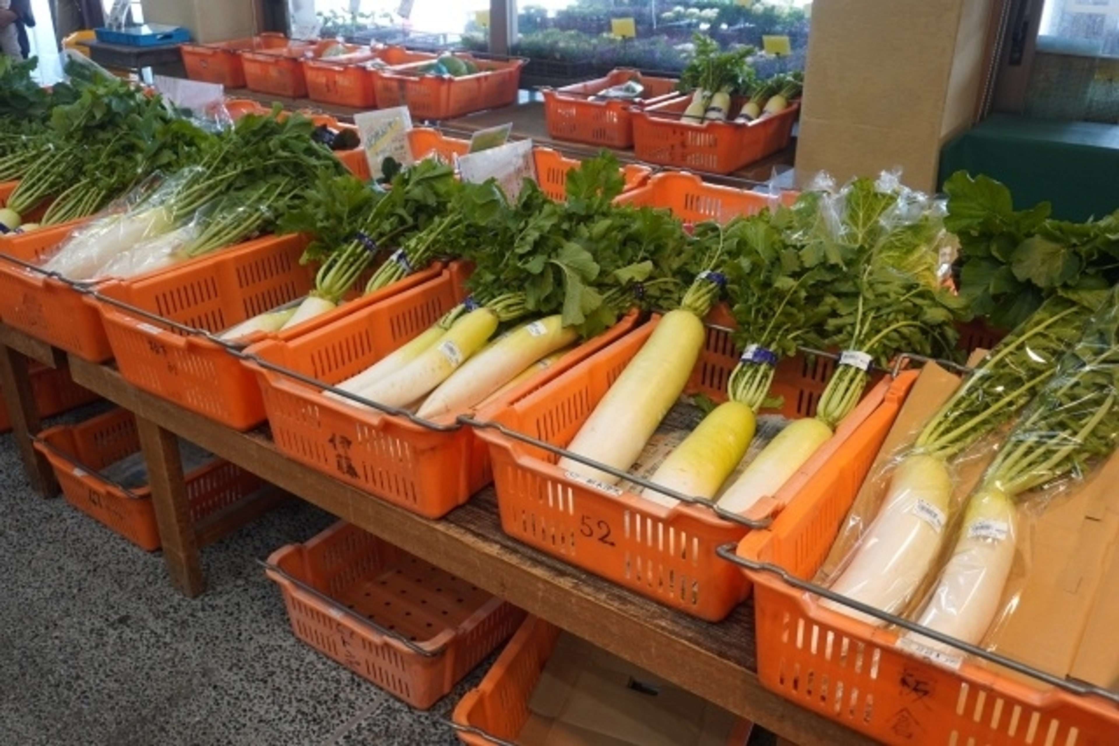 学びの特徴 学びの特徴