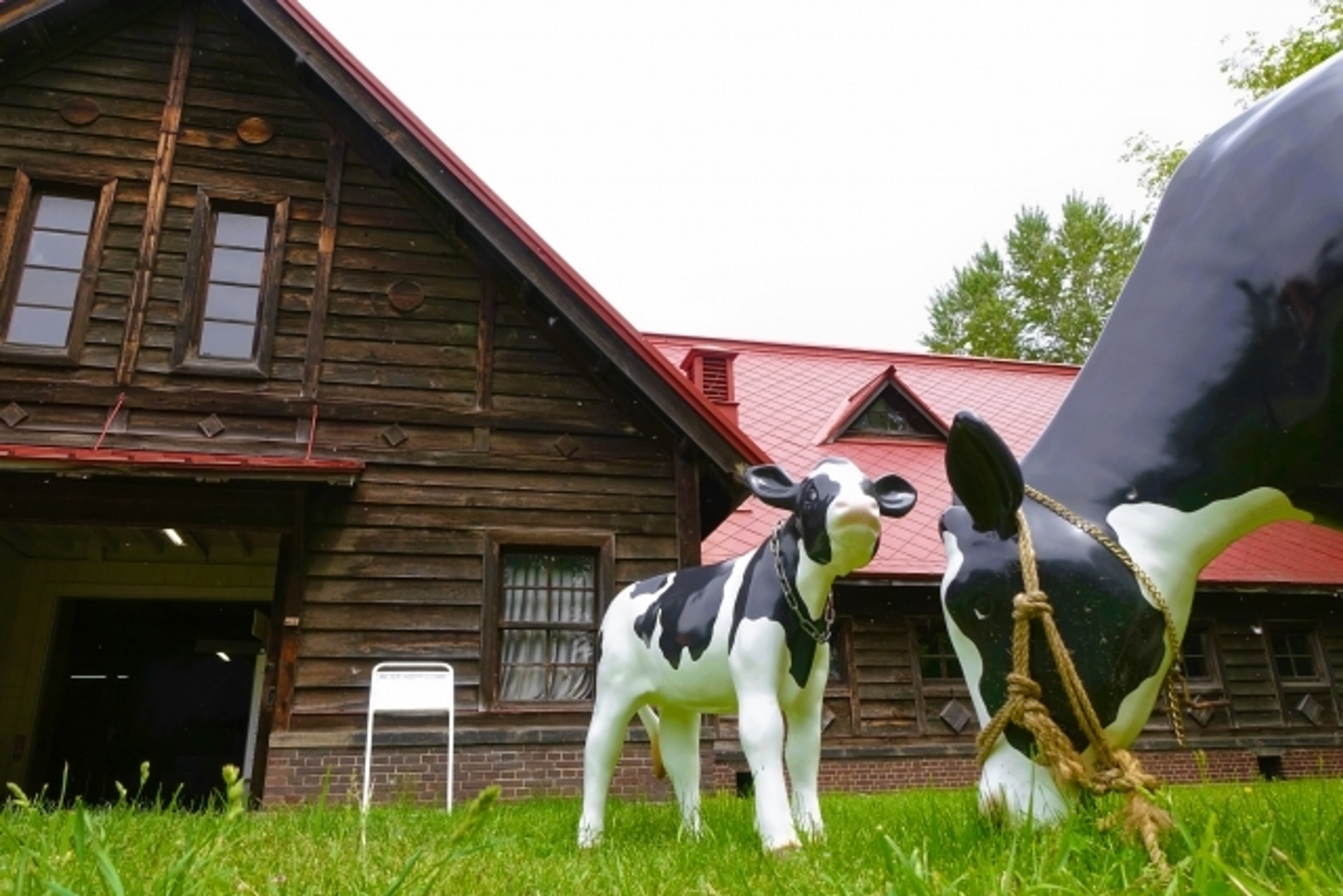 吉備国際大学 吉備国際大学