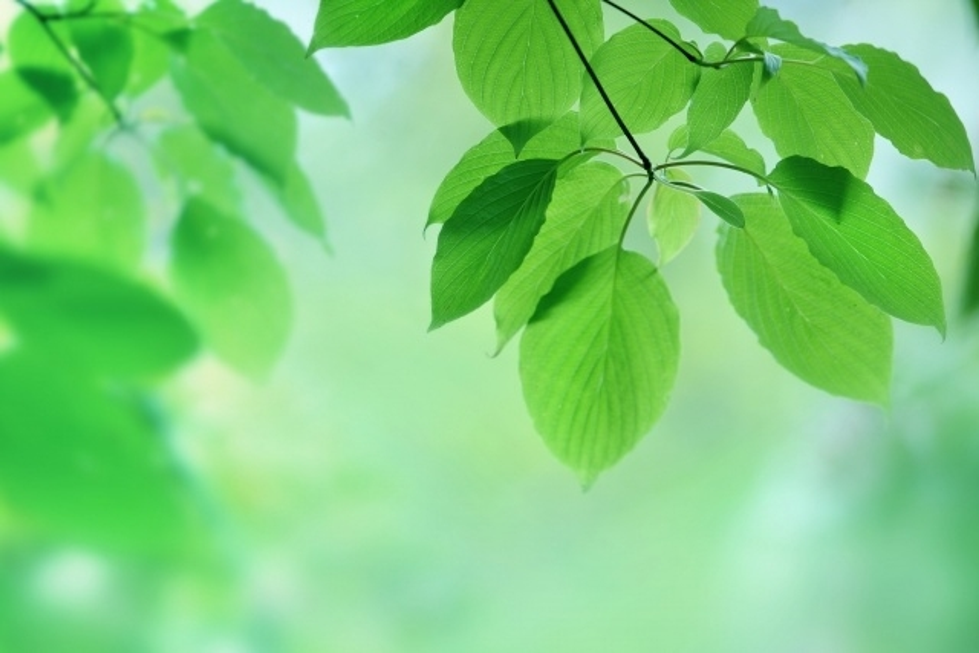 学びの特徴 学びの特徴