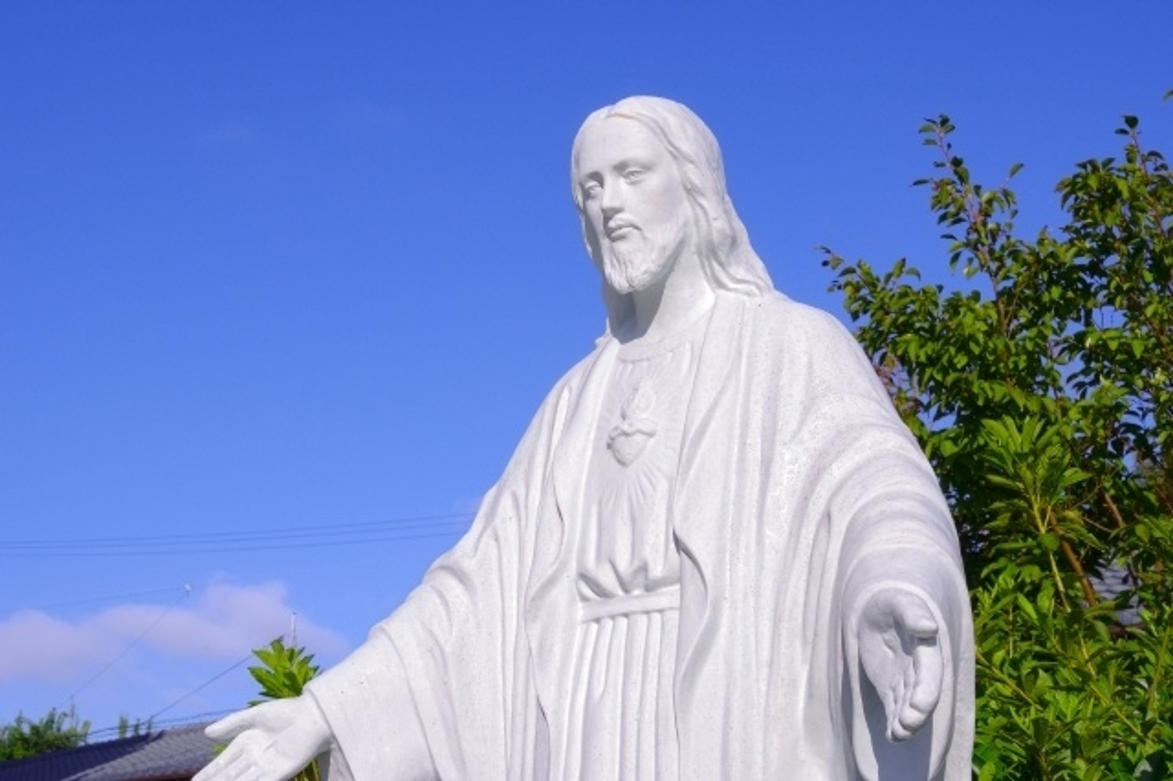 学びの特徴 学びの特徴