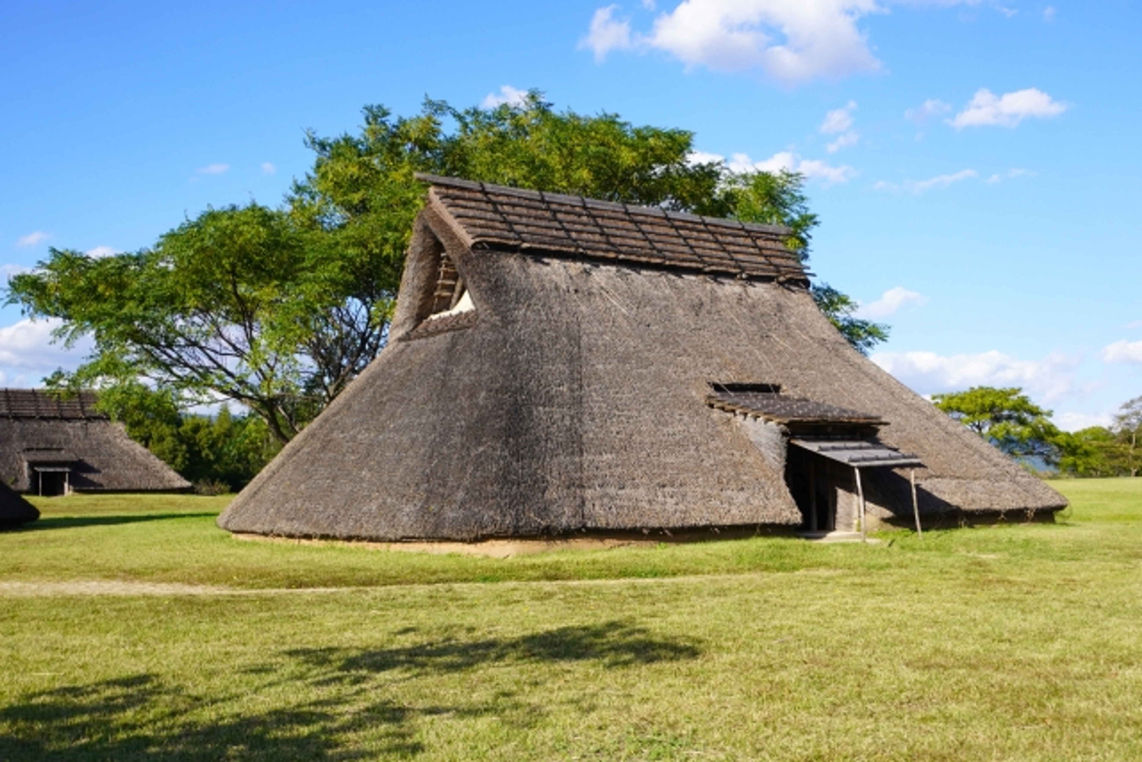 大谷大学 大谷大学