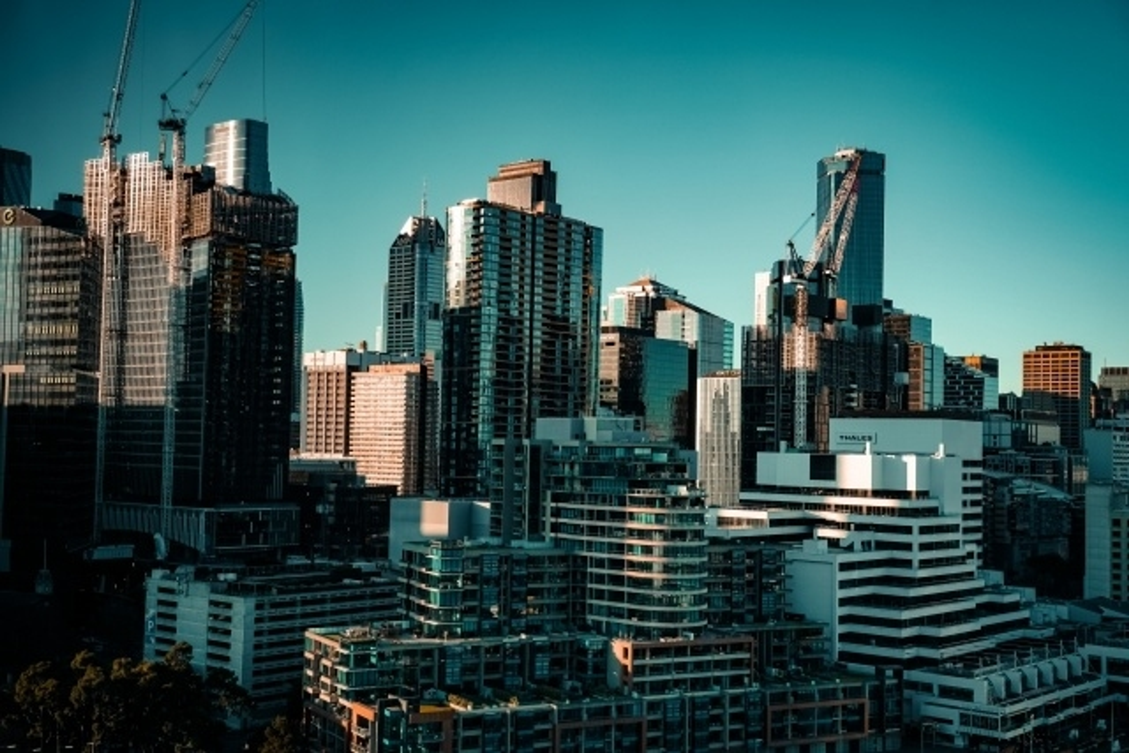 学びの特徴 学びの特徴