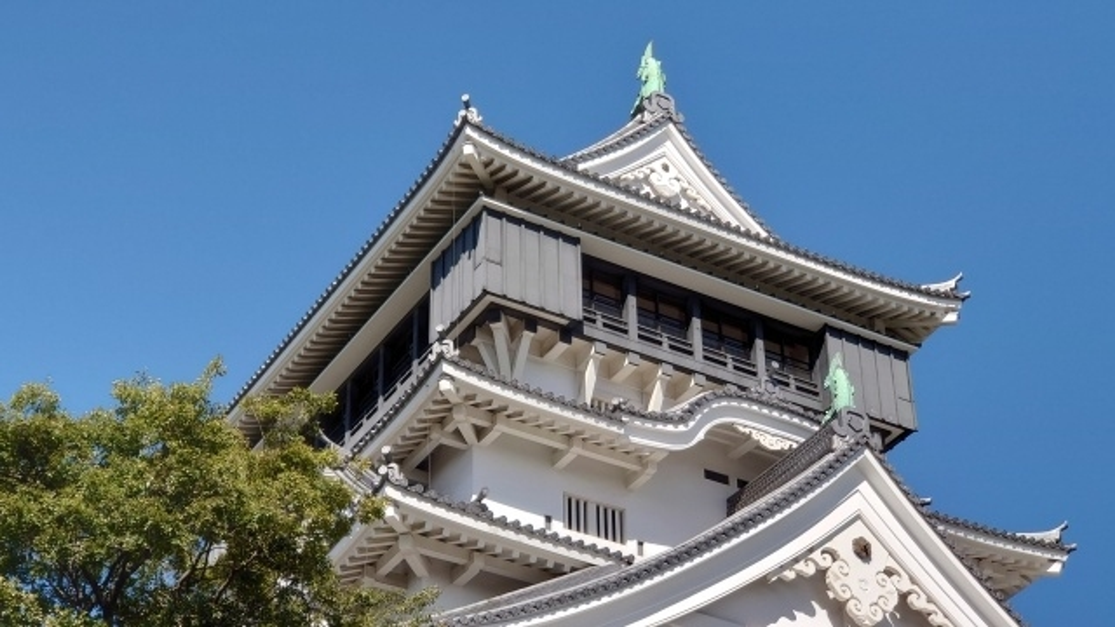 追手門学院大学