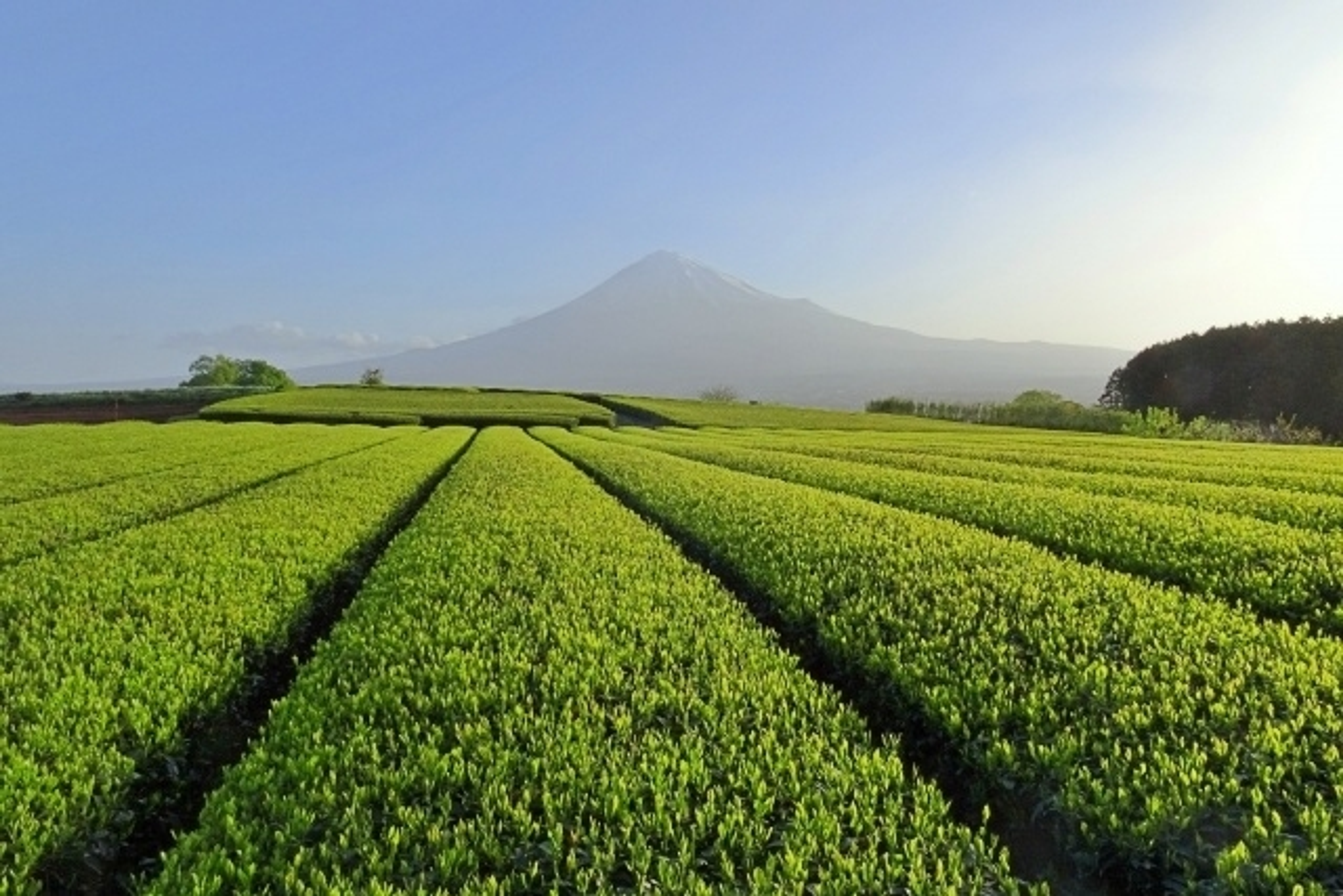 学びの特徴 学びの特徴