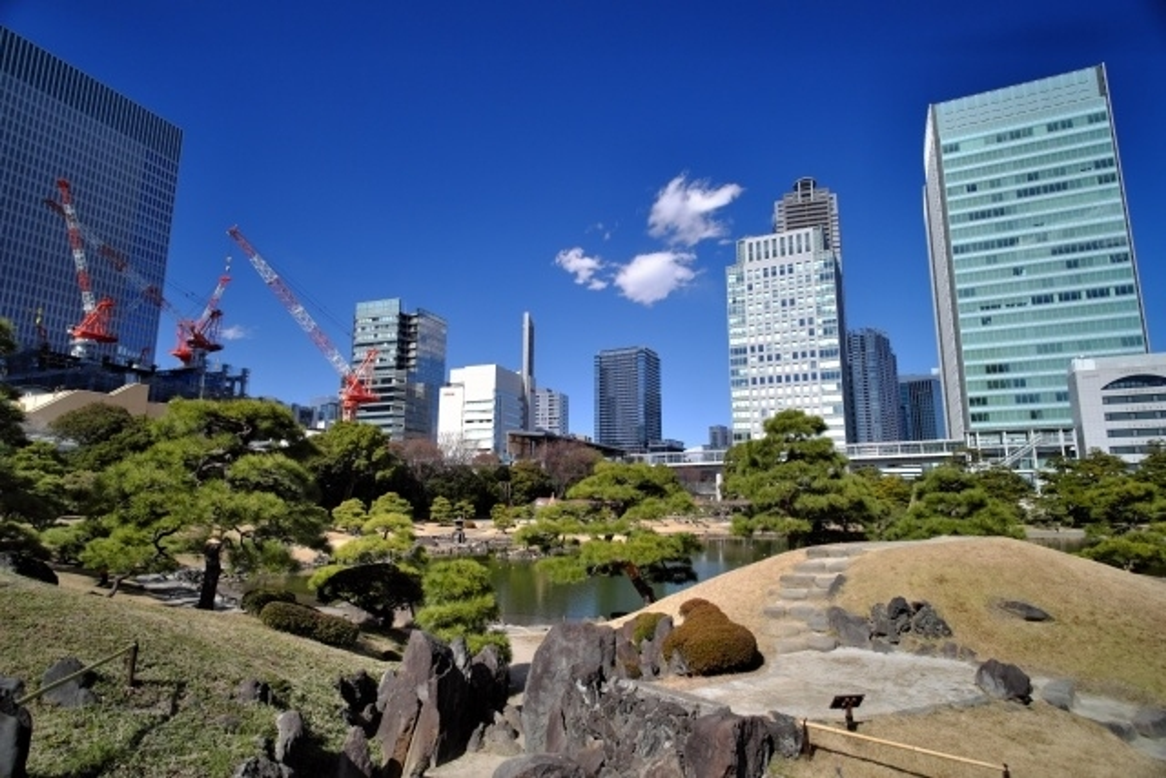 武庫川女子大学 武庫川女子大学