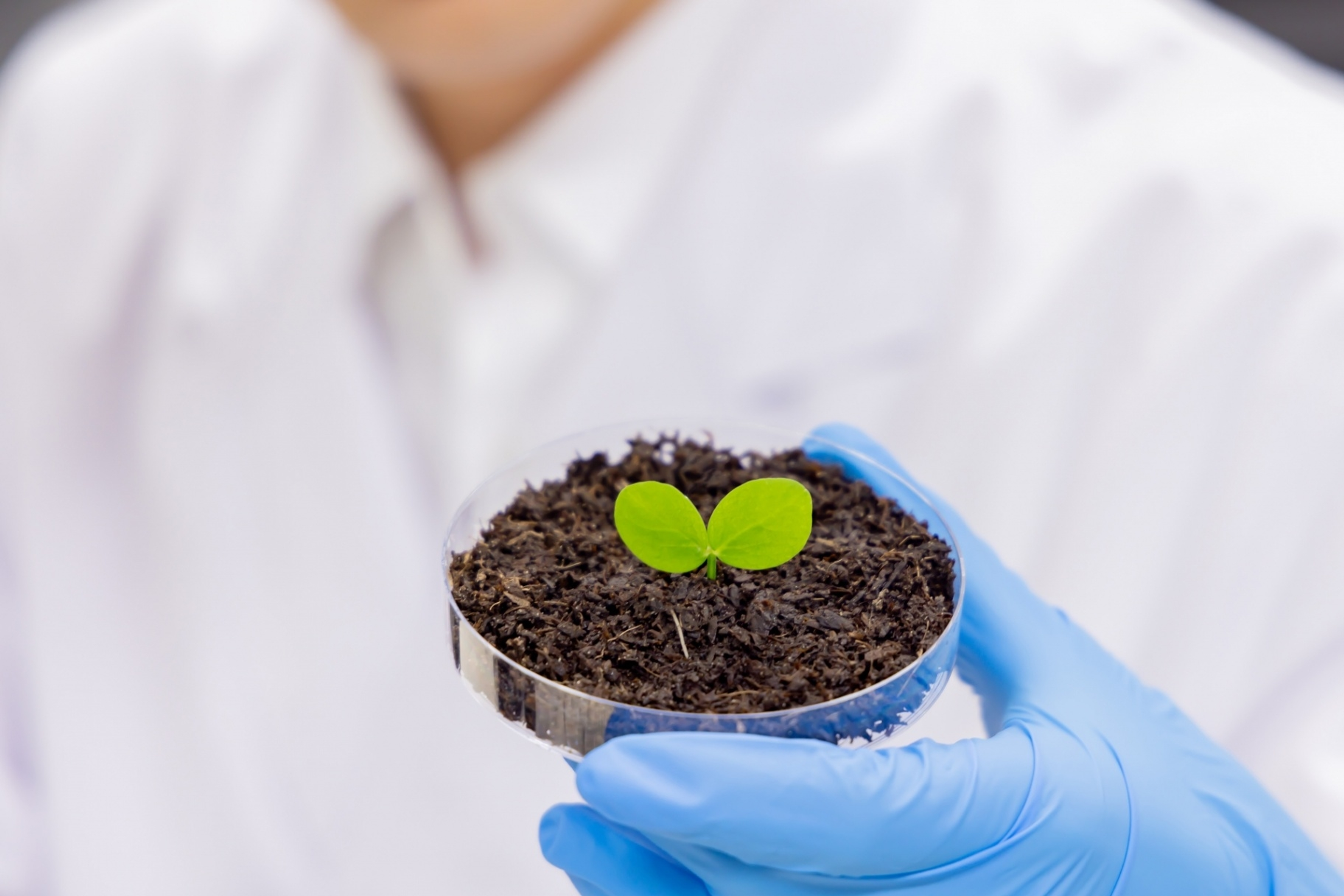 龍谷大学 龍谷大学