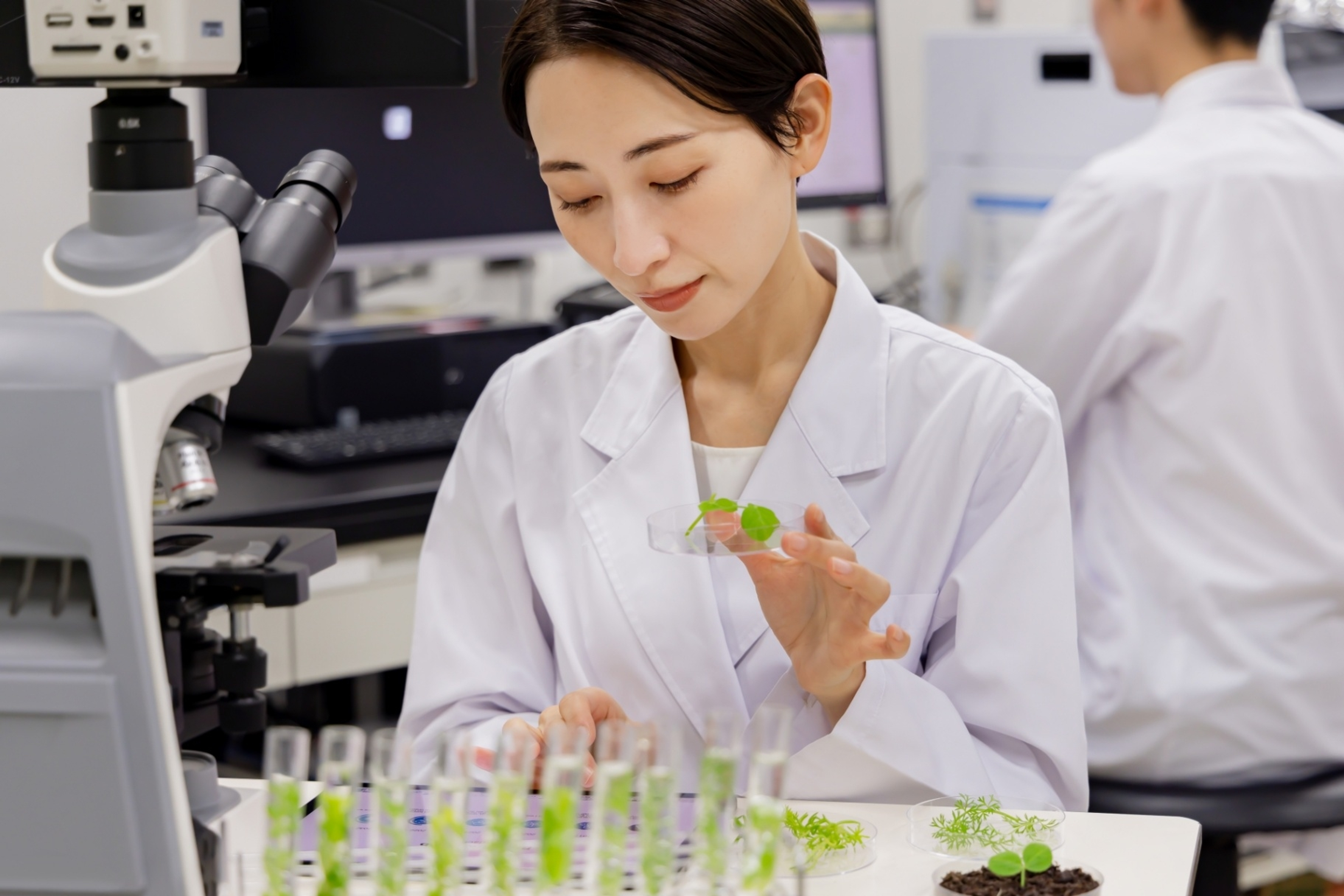 5つの学びのプログラム 5つの学びのプログラム