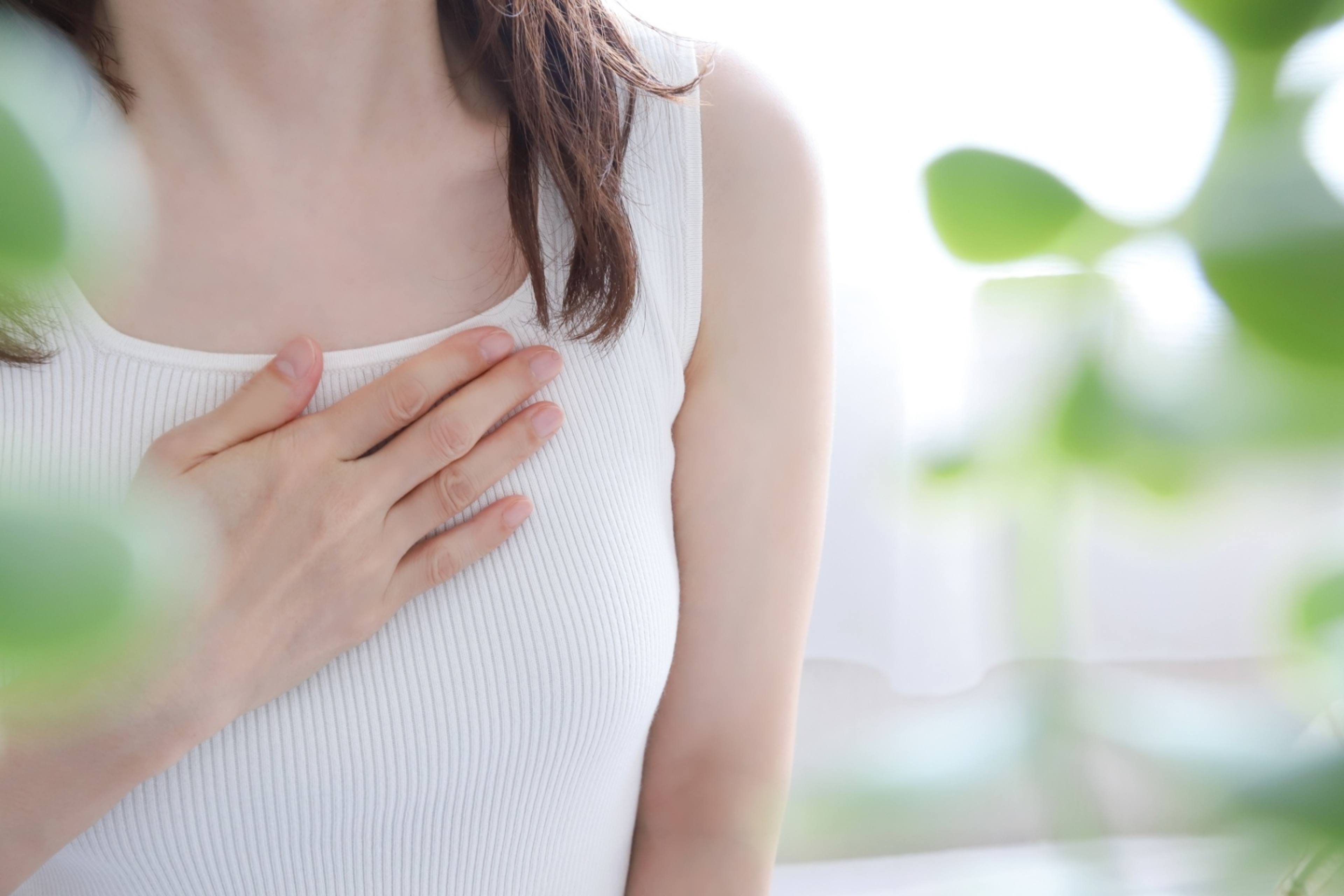 龍谷大学 龍谷大学