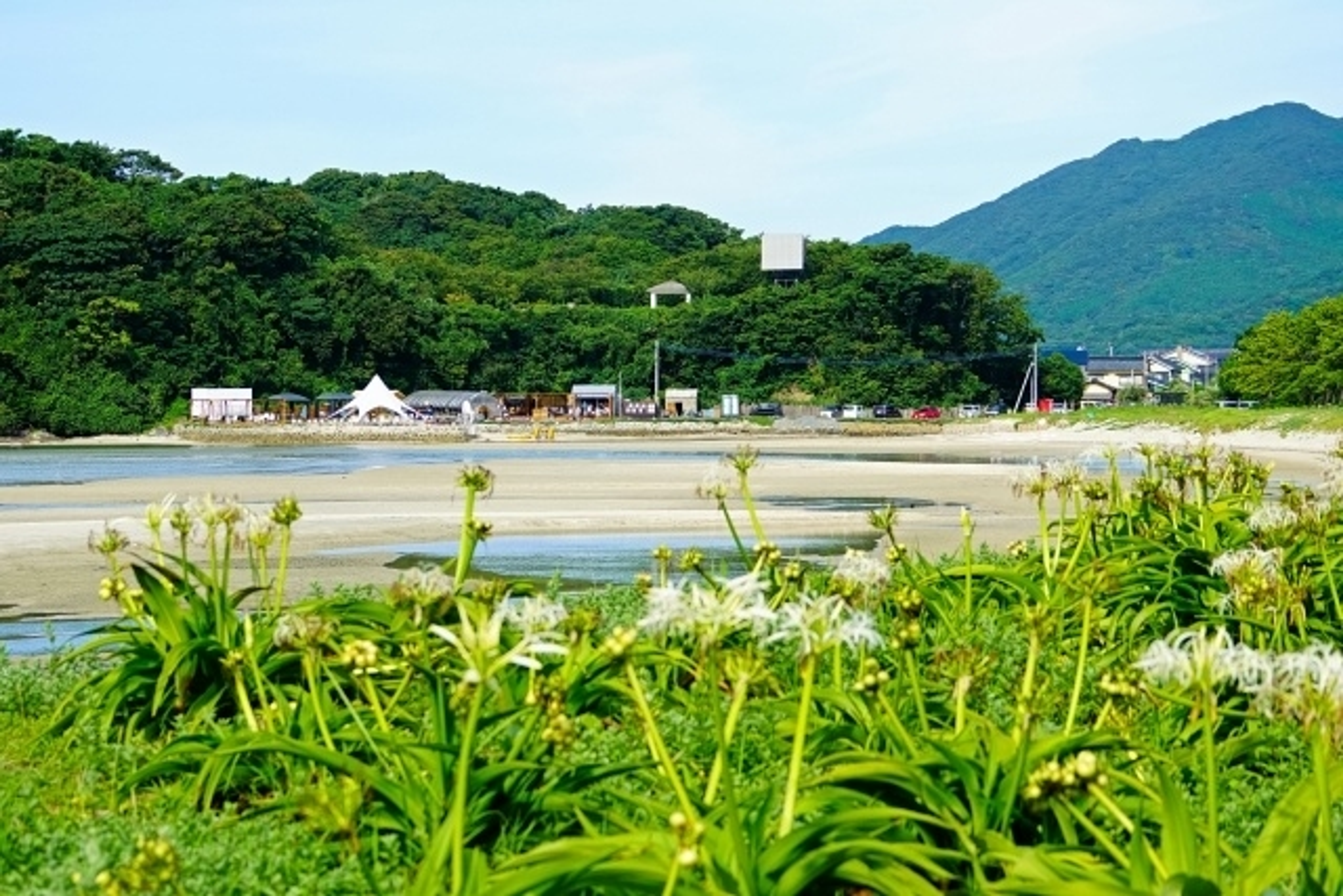 長崎大学
