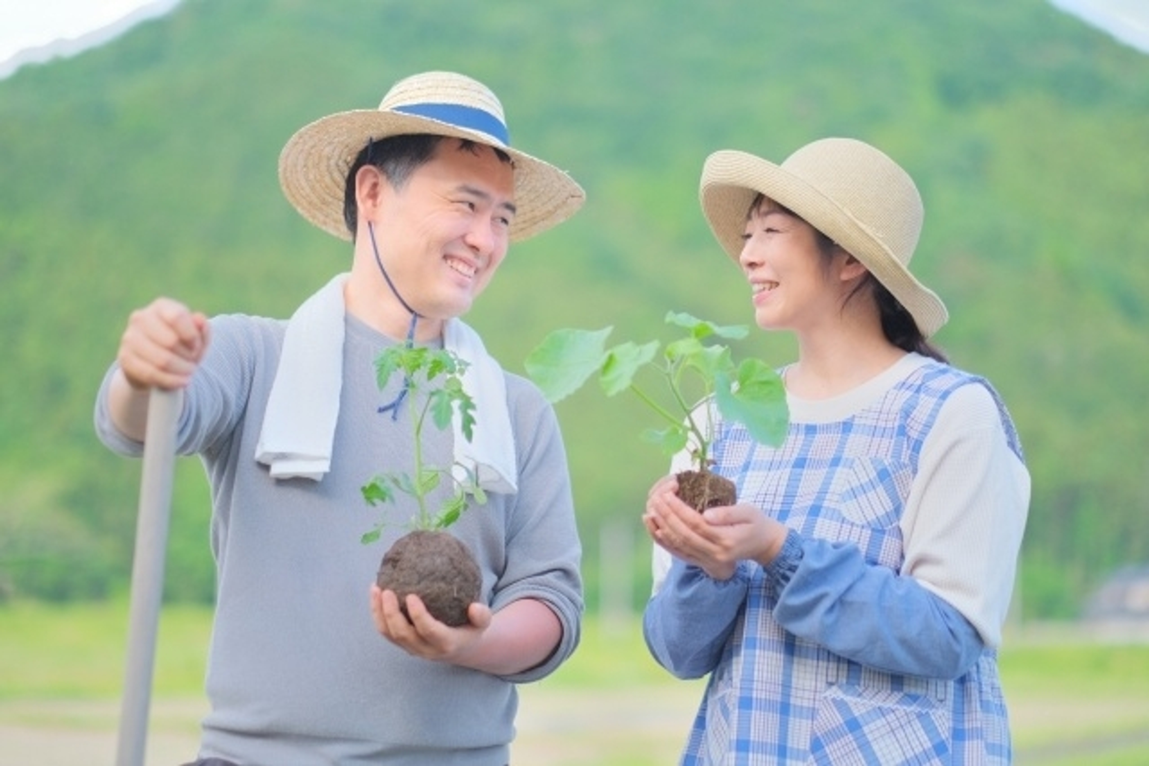 摂南大学 摂南大学