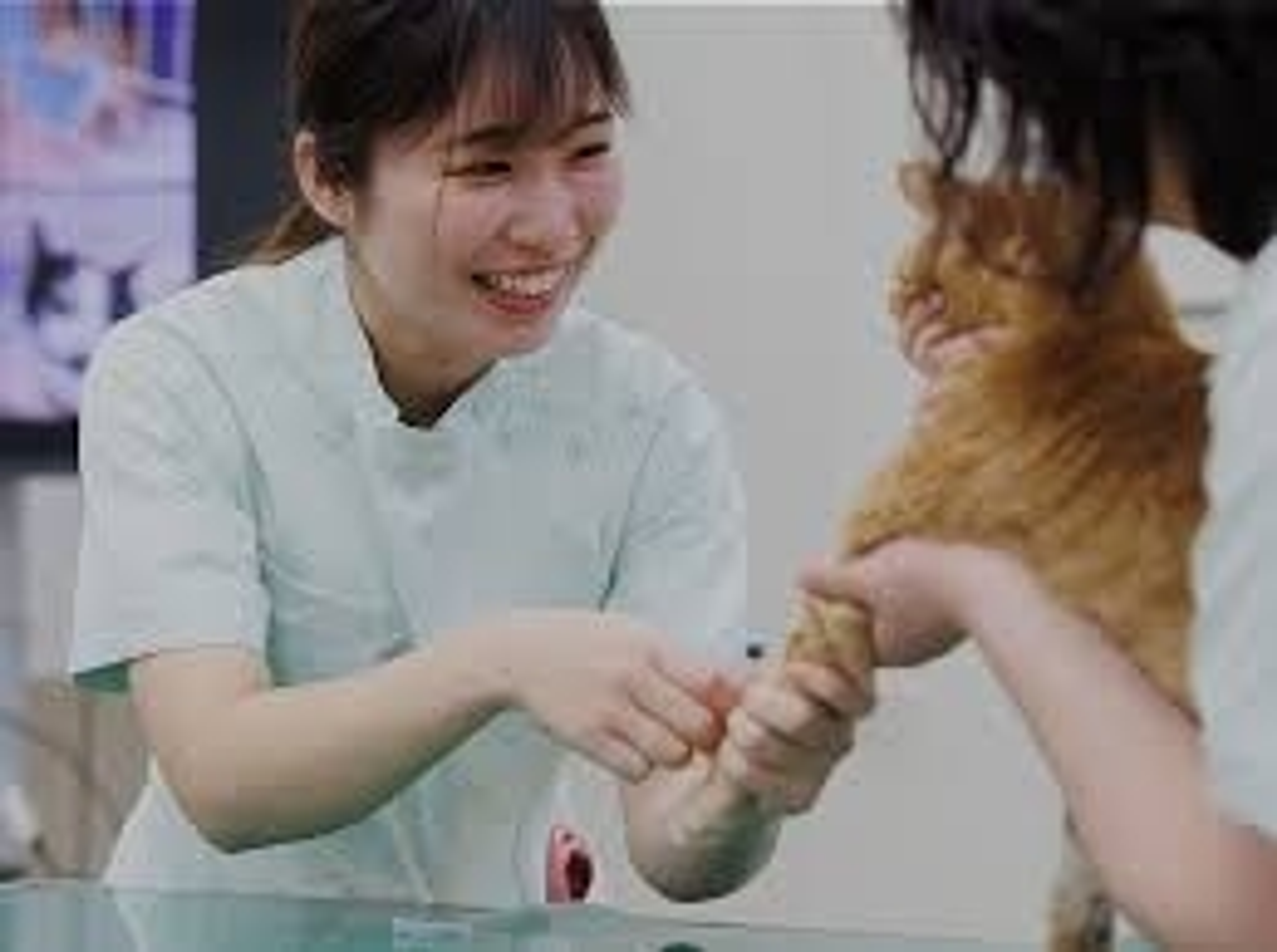 学びの特徴 学びの特徴