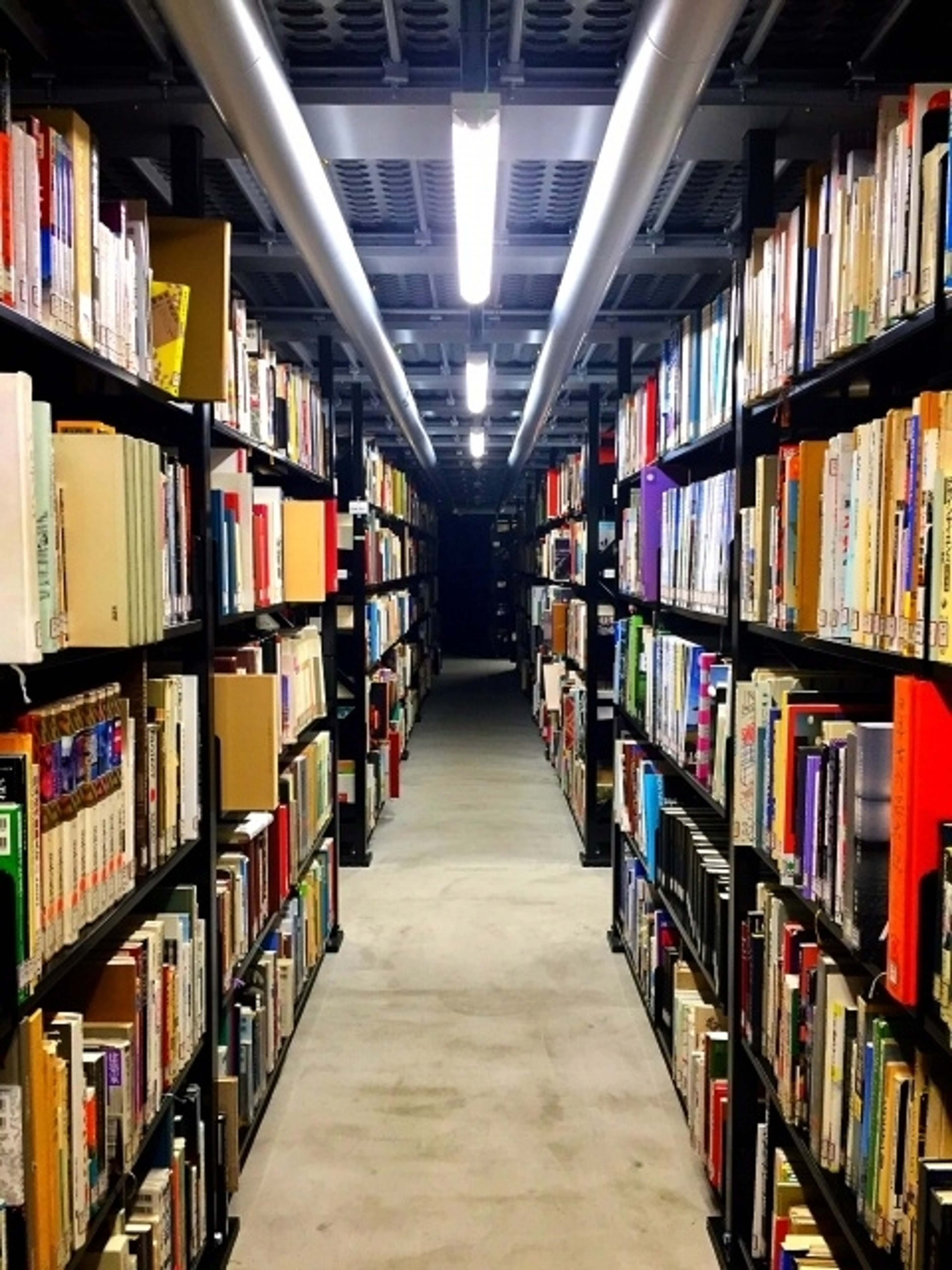 佛教大学 佛教大学