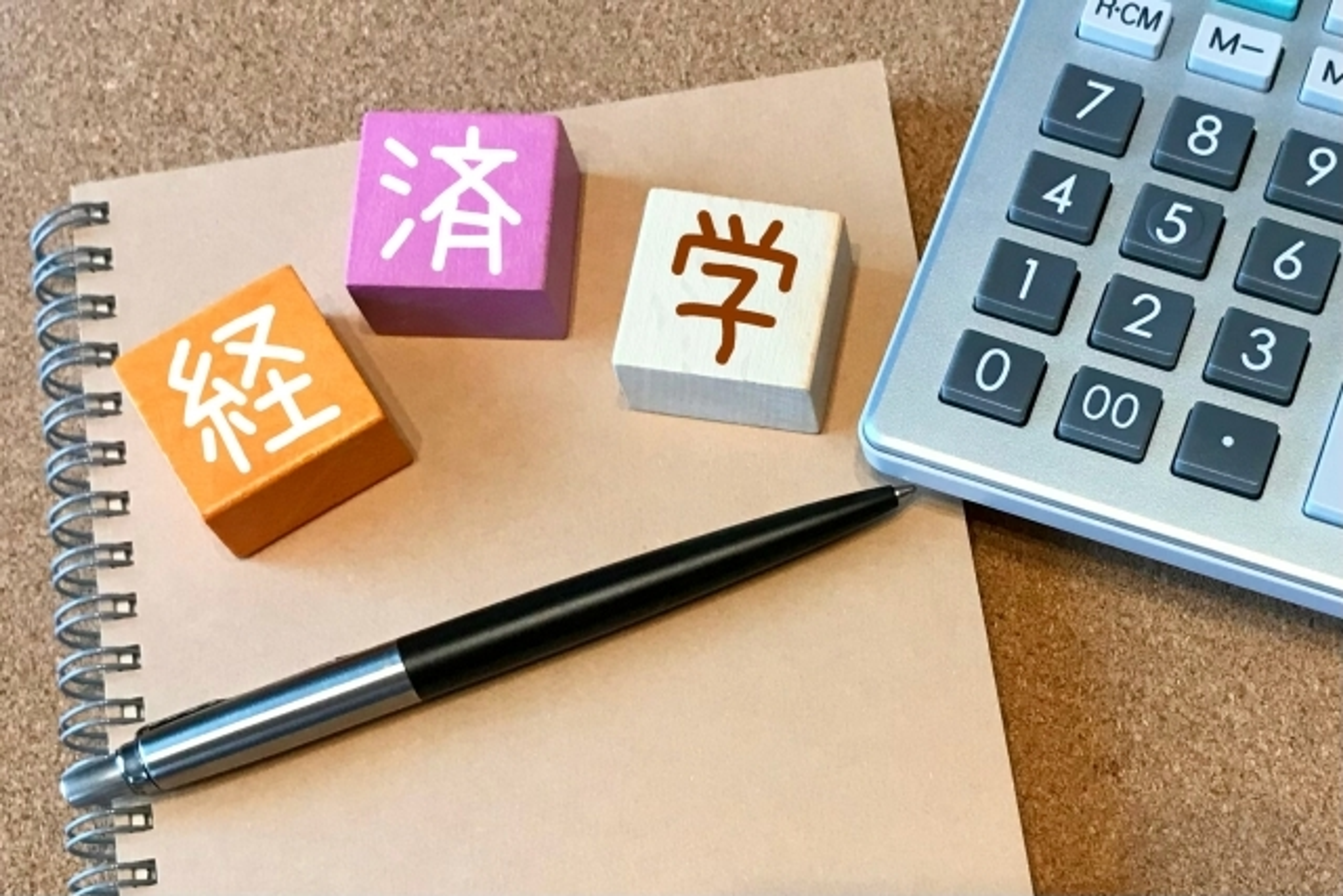 城西大学 城西大学