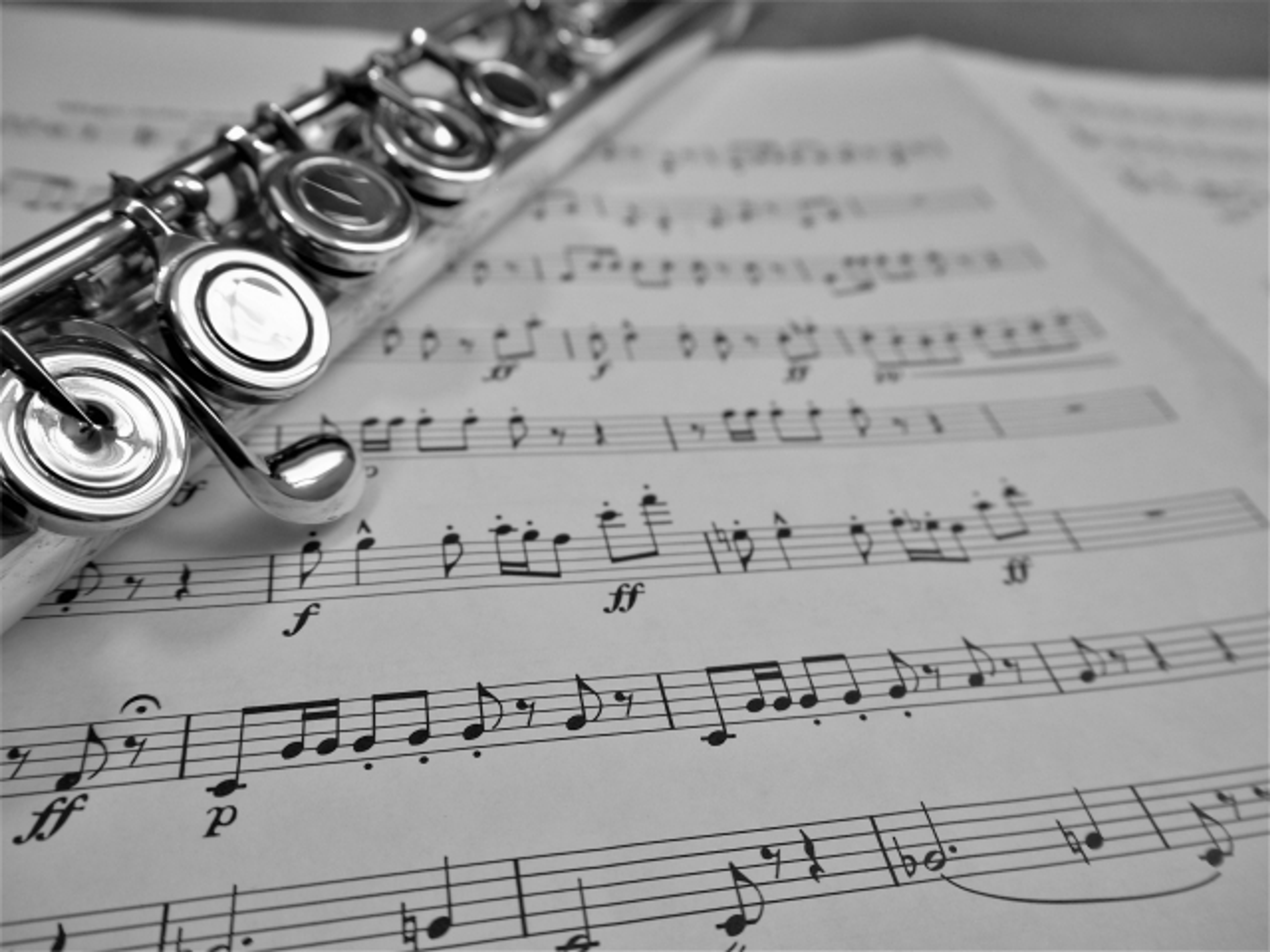 武庫川女子大学