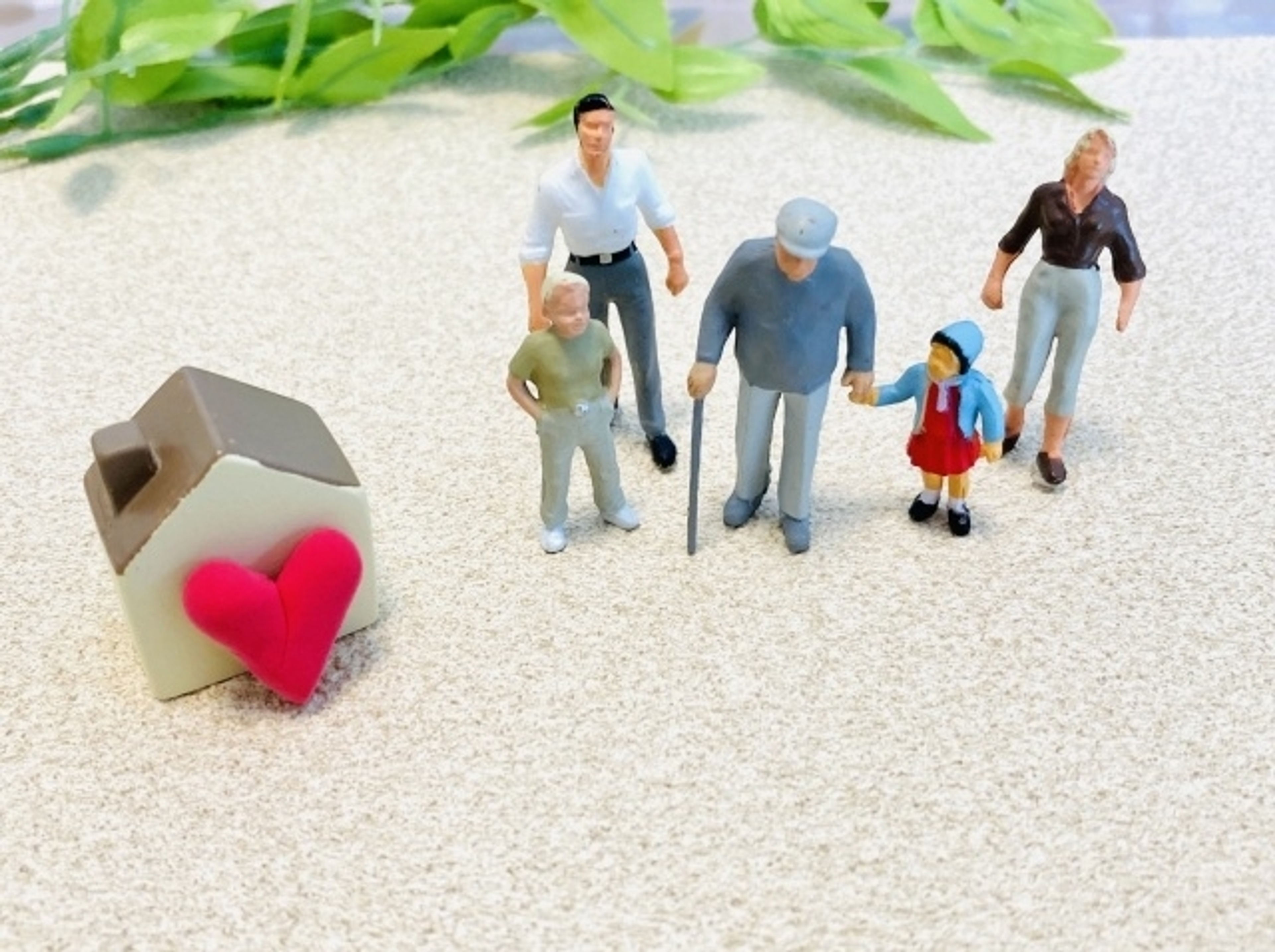 武庫川女子大学 武庫川女子大学