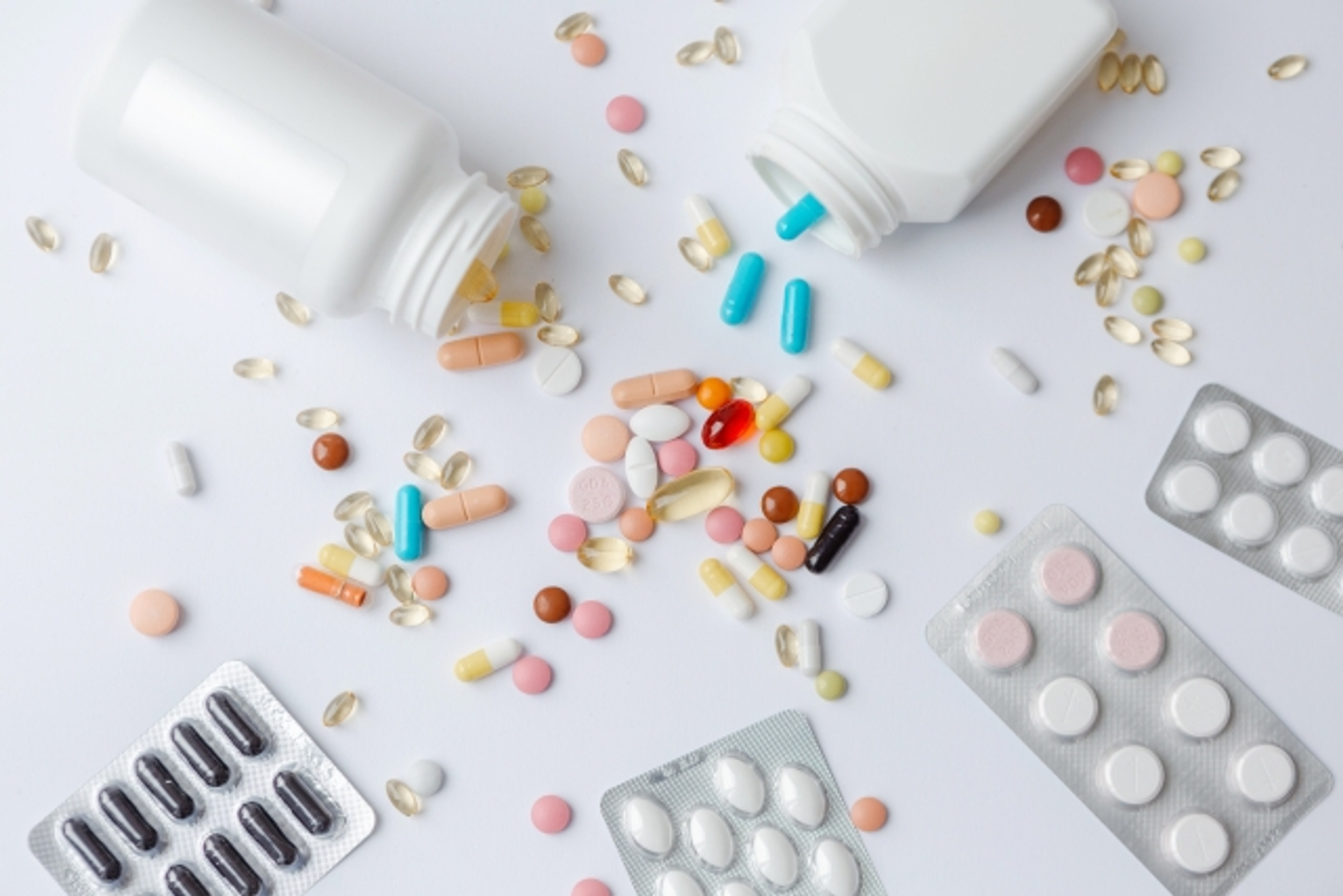 摂南大学 摂南大学