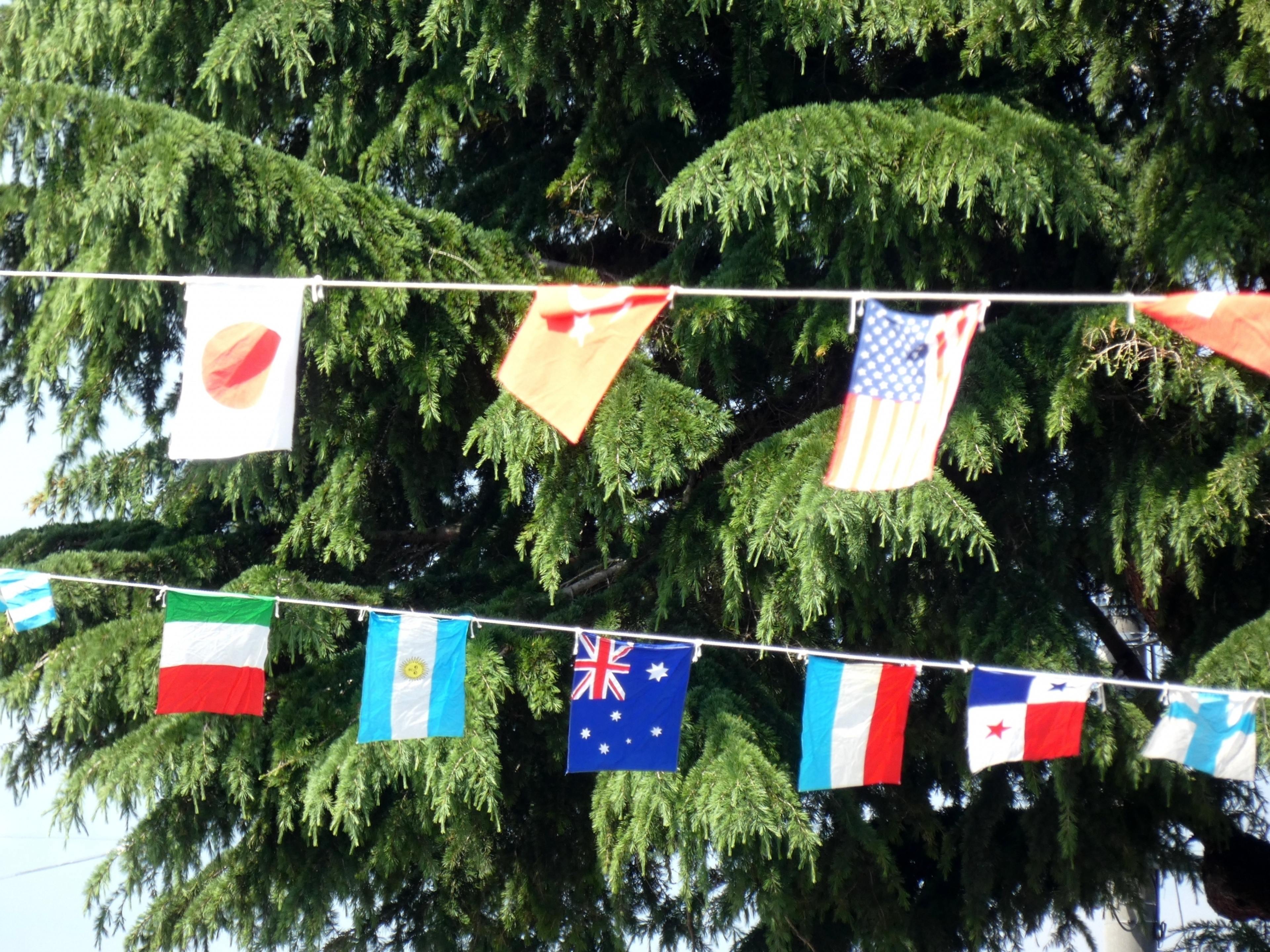 和洋女子大学 和洋女子大学