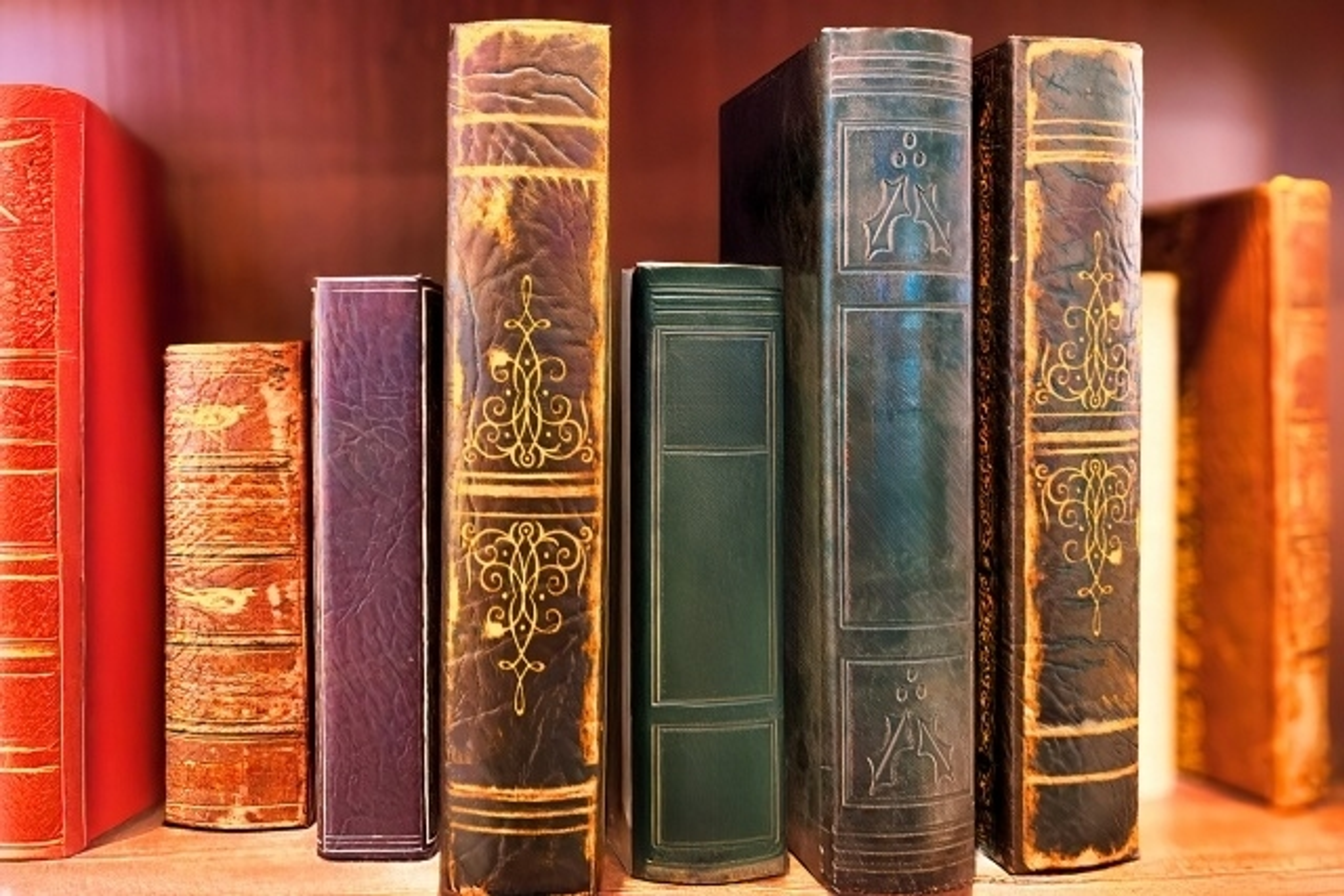 武庫川女子大学