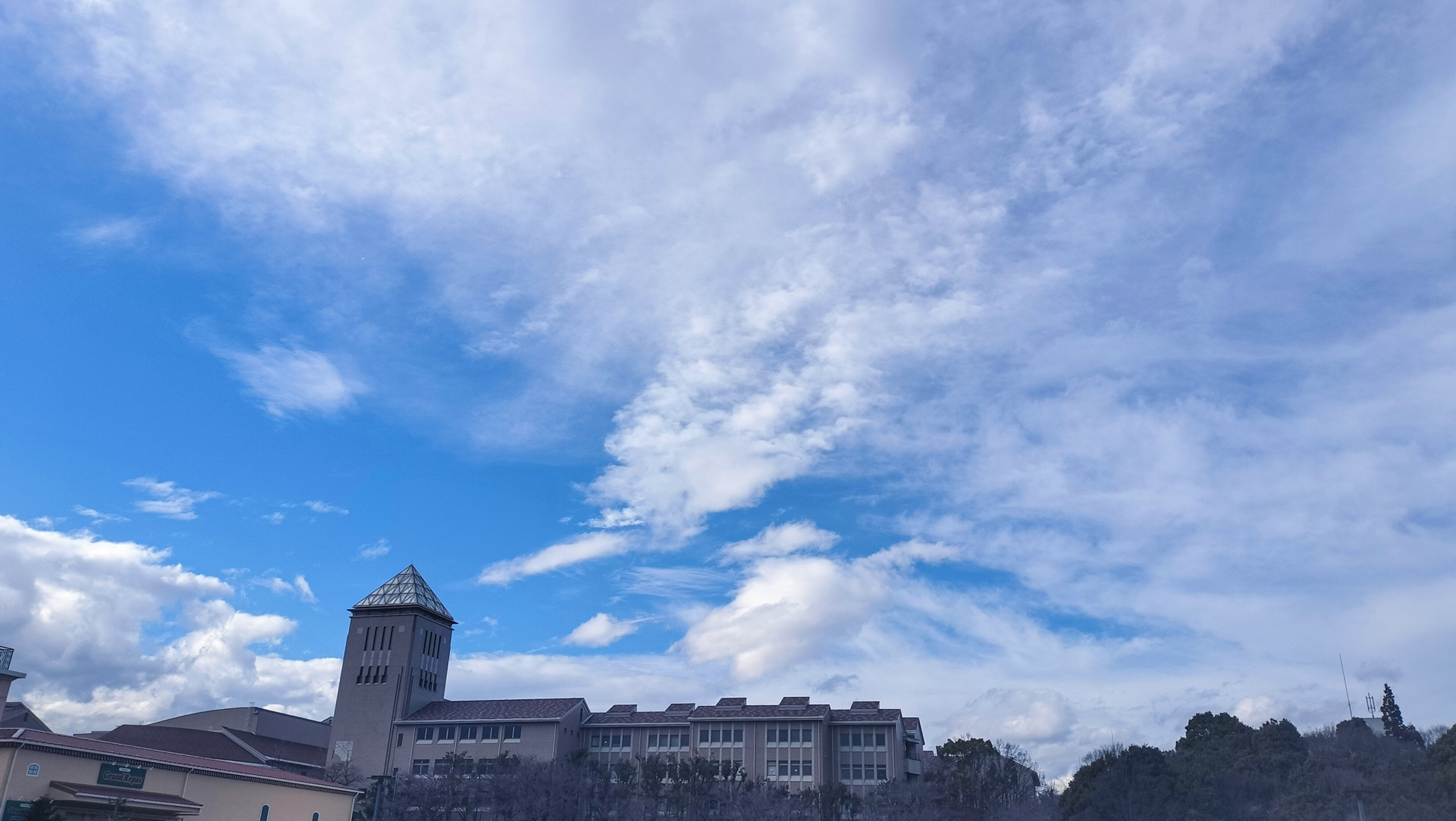 東京都立大学