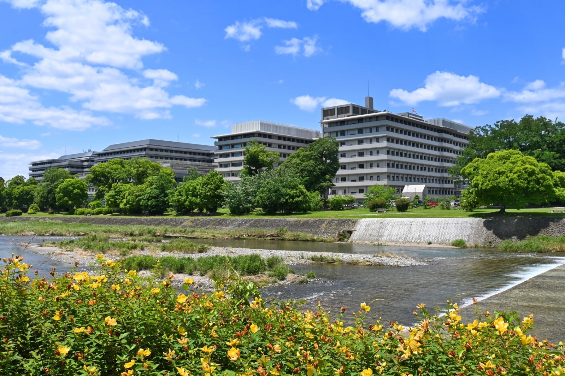 京都府立医科大学 | 資料請求・イベント・入試情報｜年内入試ナビ
